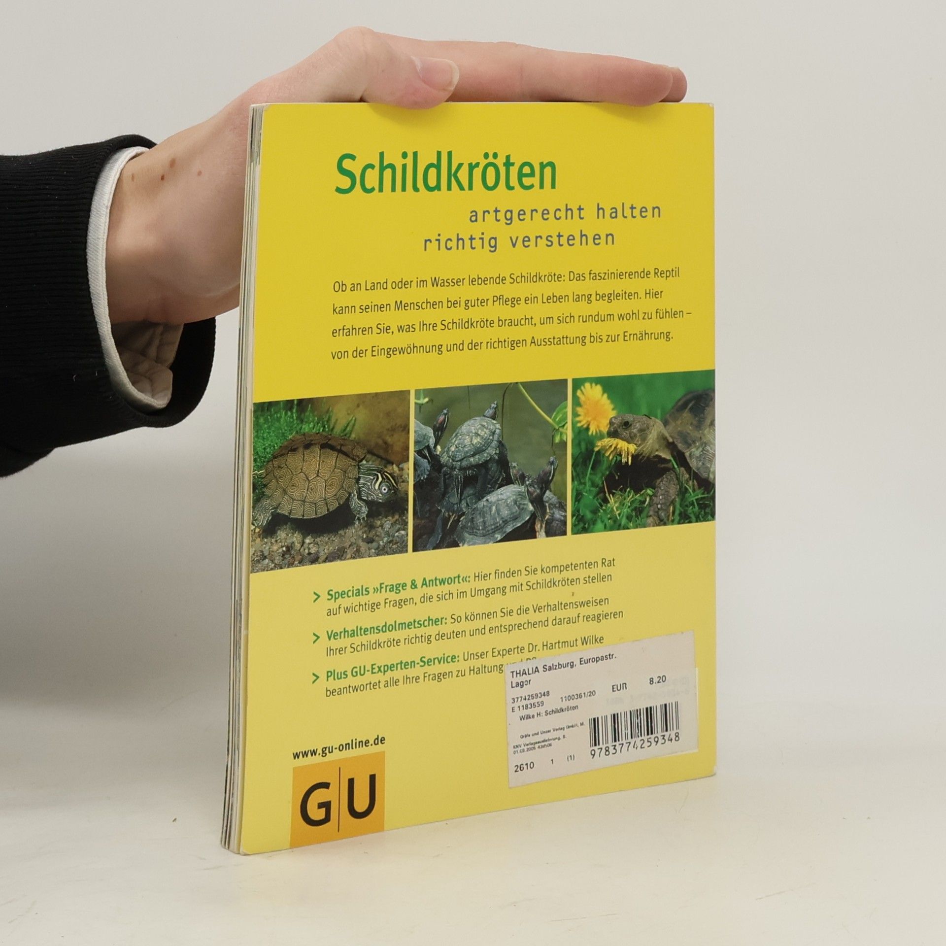 Hartmut Wilke Schildkröten