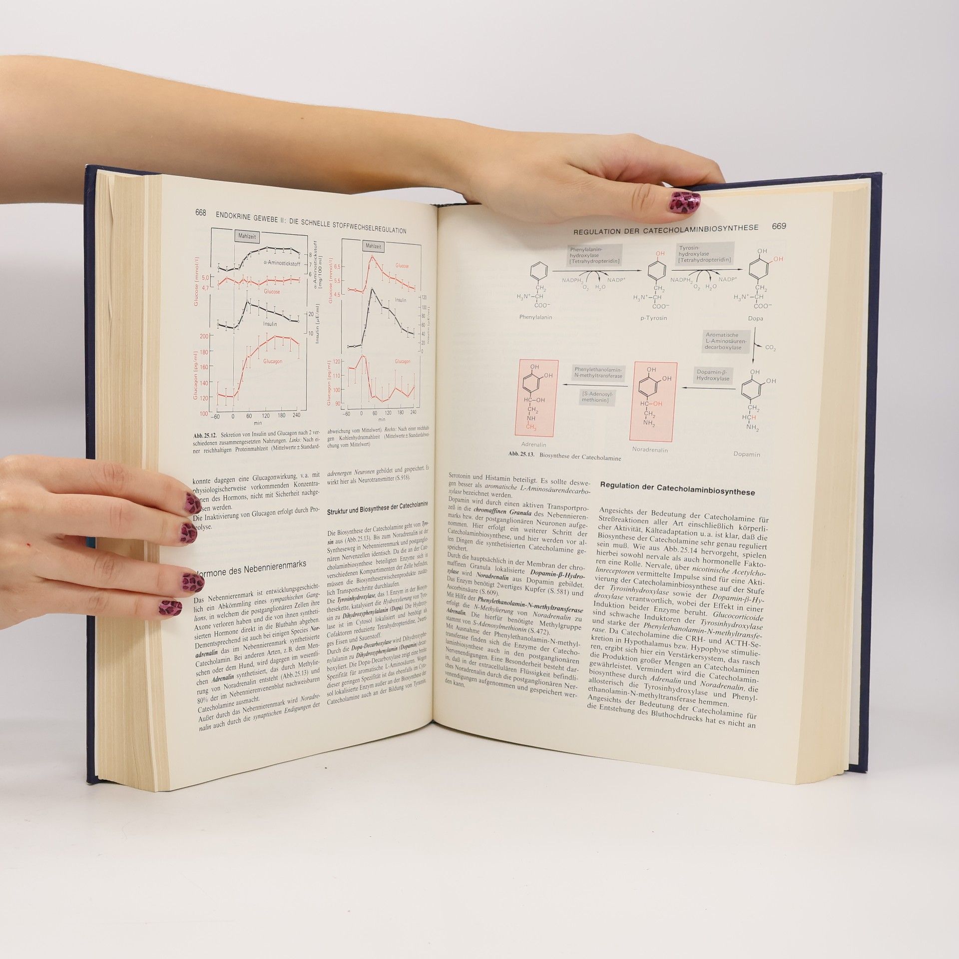 Georg Löffler Physiologische Chemie