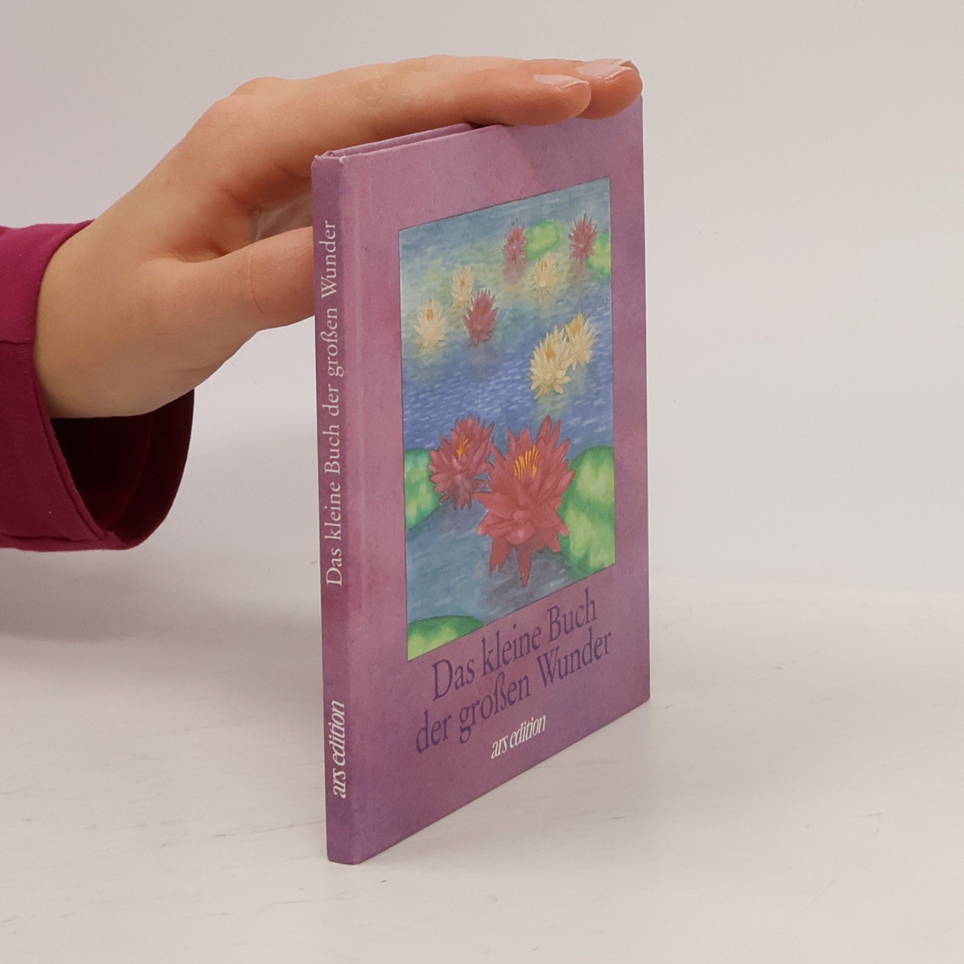 Various authors Das kleine Buch der großen Wunder