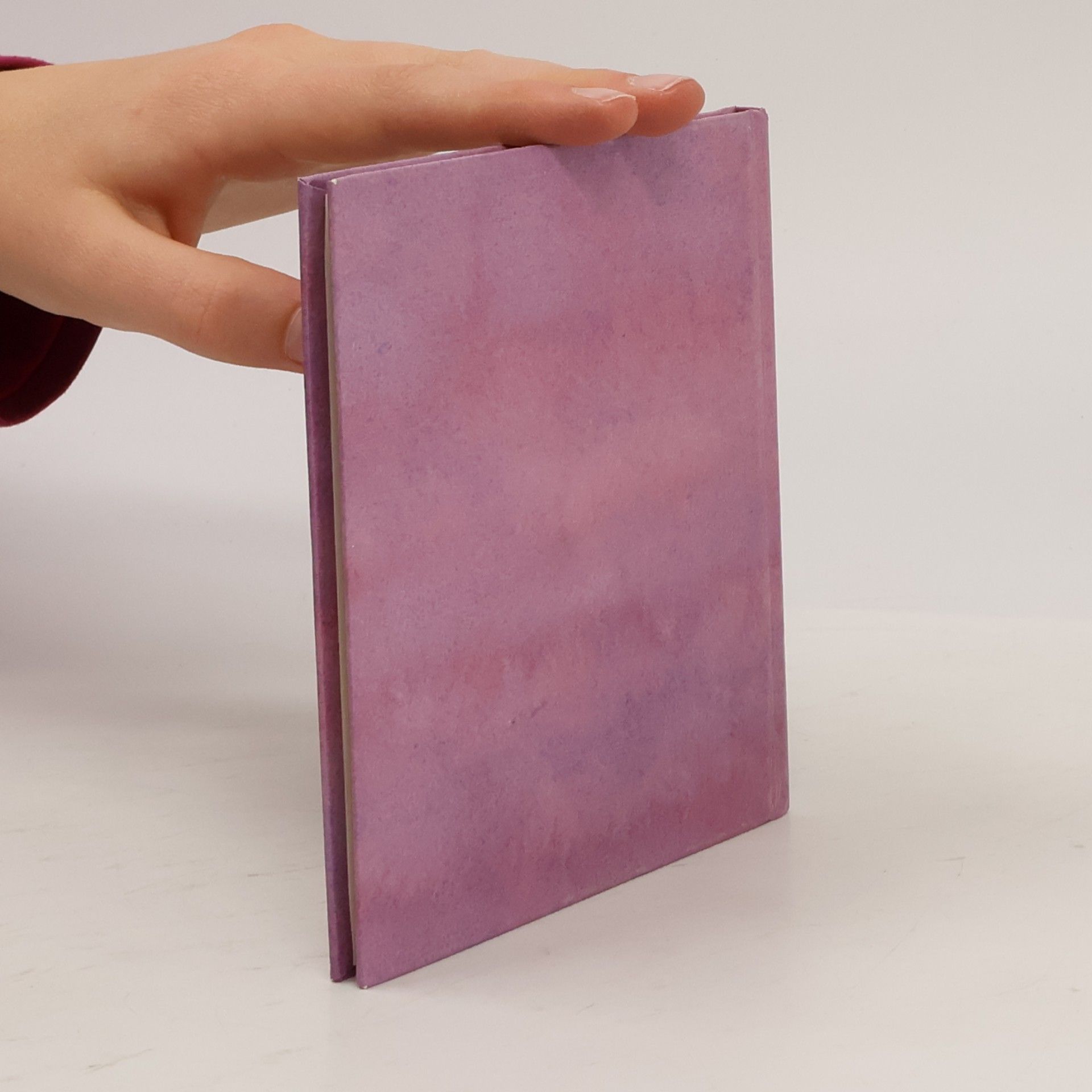 Various authors Das kleine Buch der großen Wunder