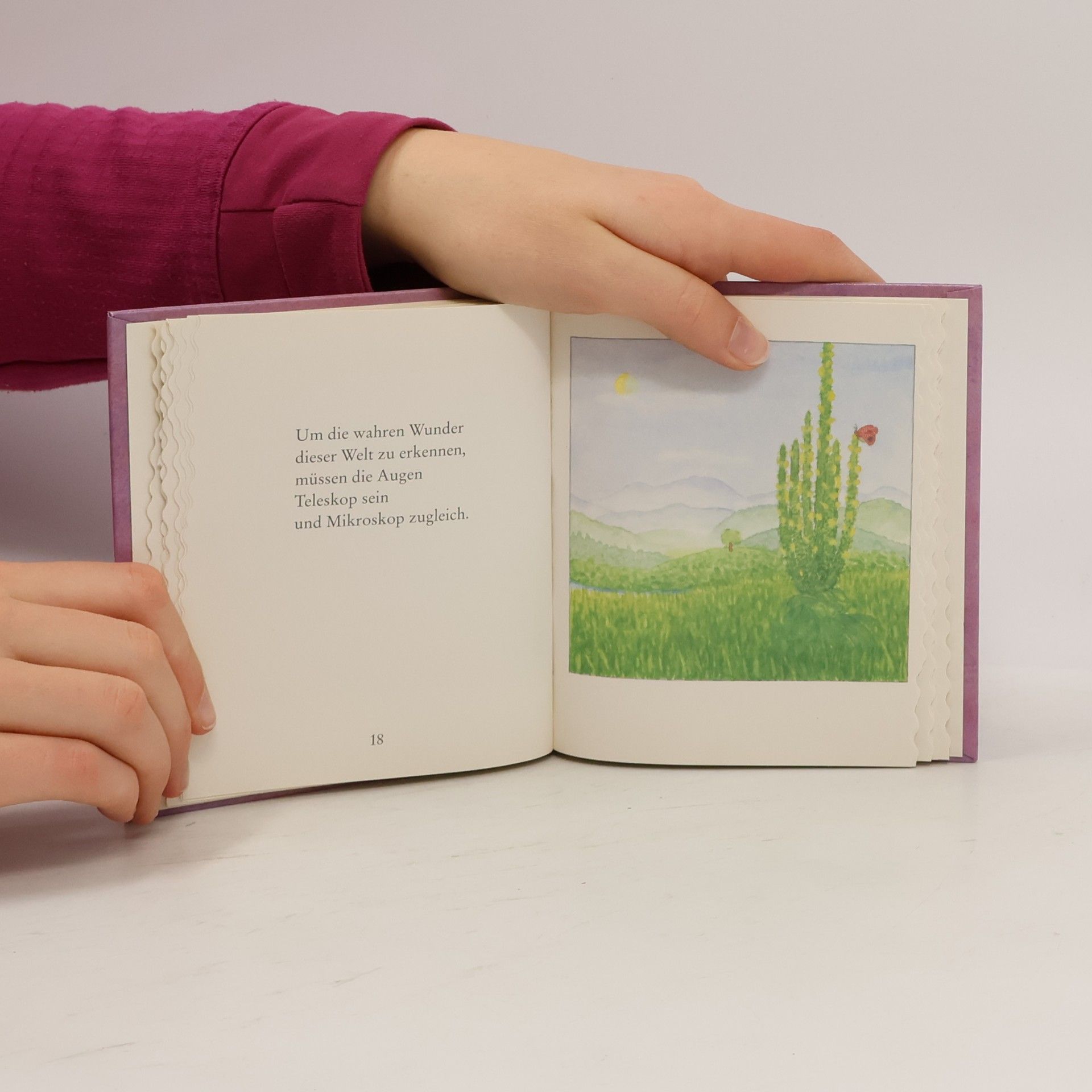 Various authors Das kleine Buch der großen Wunder