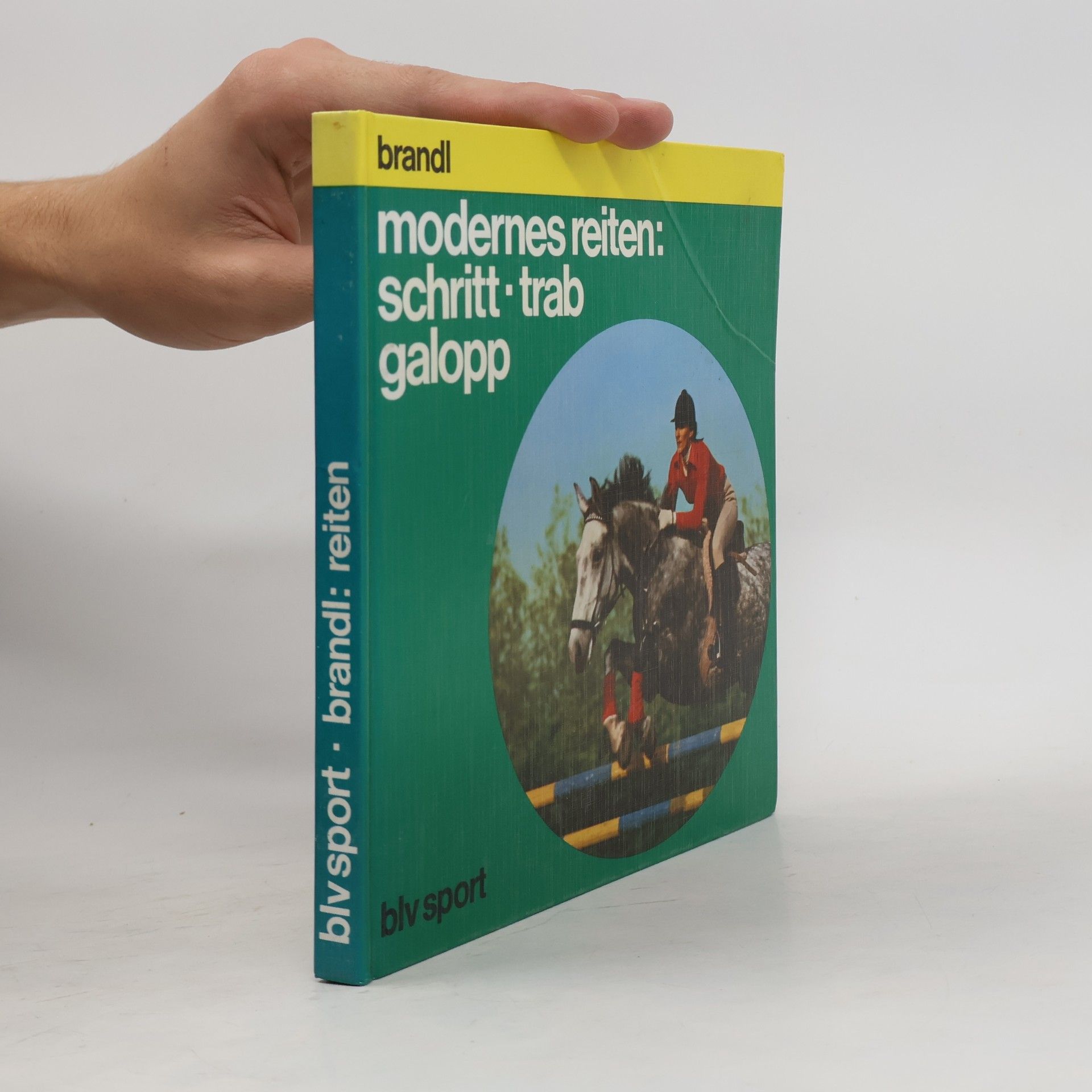 Modernes Reiten