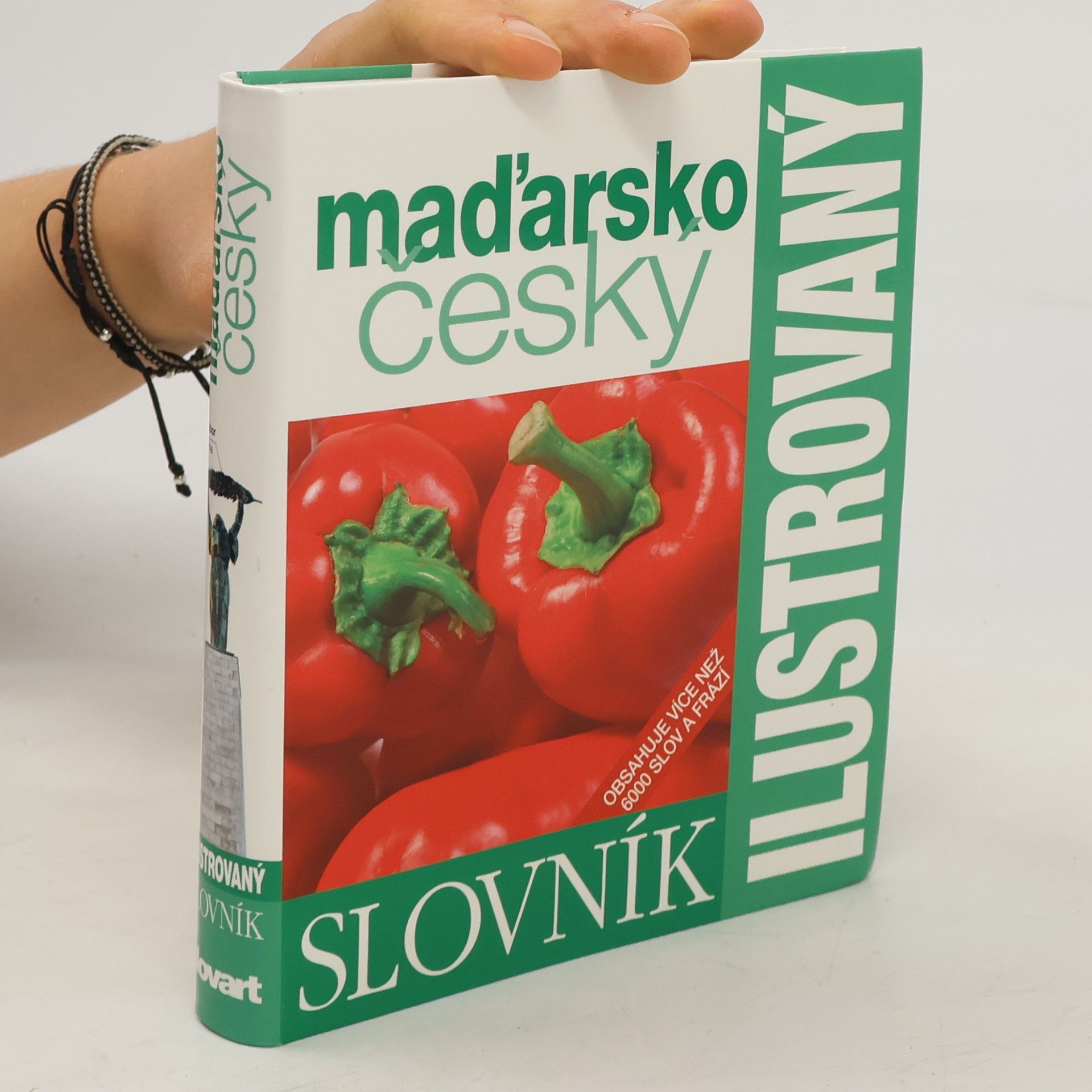 Kolektív autorov Maďarsko český ilustrovaný slovník