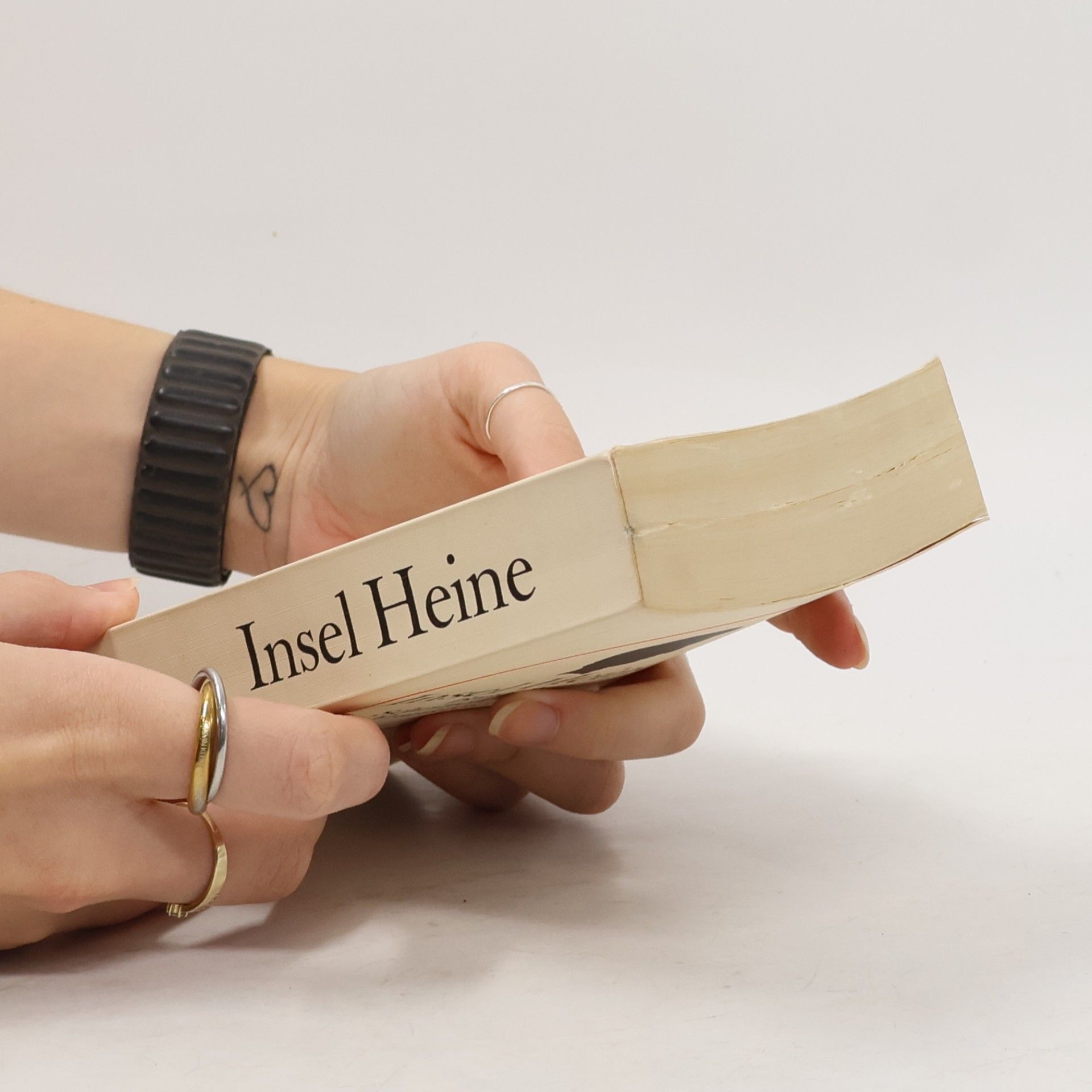Heinrich Heine Insel Heine. Band 3
