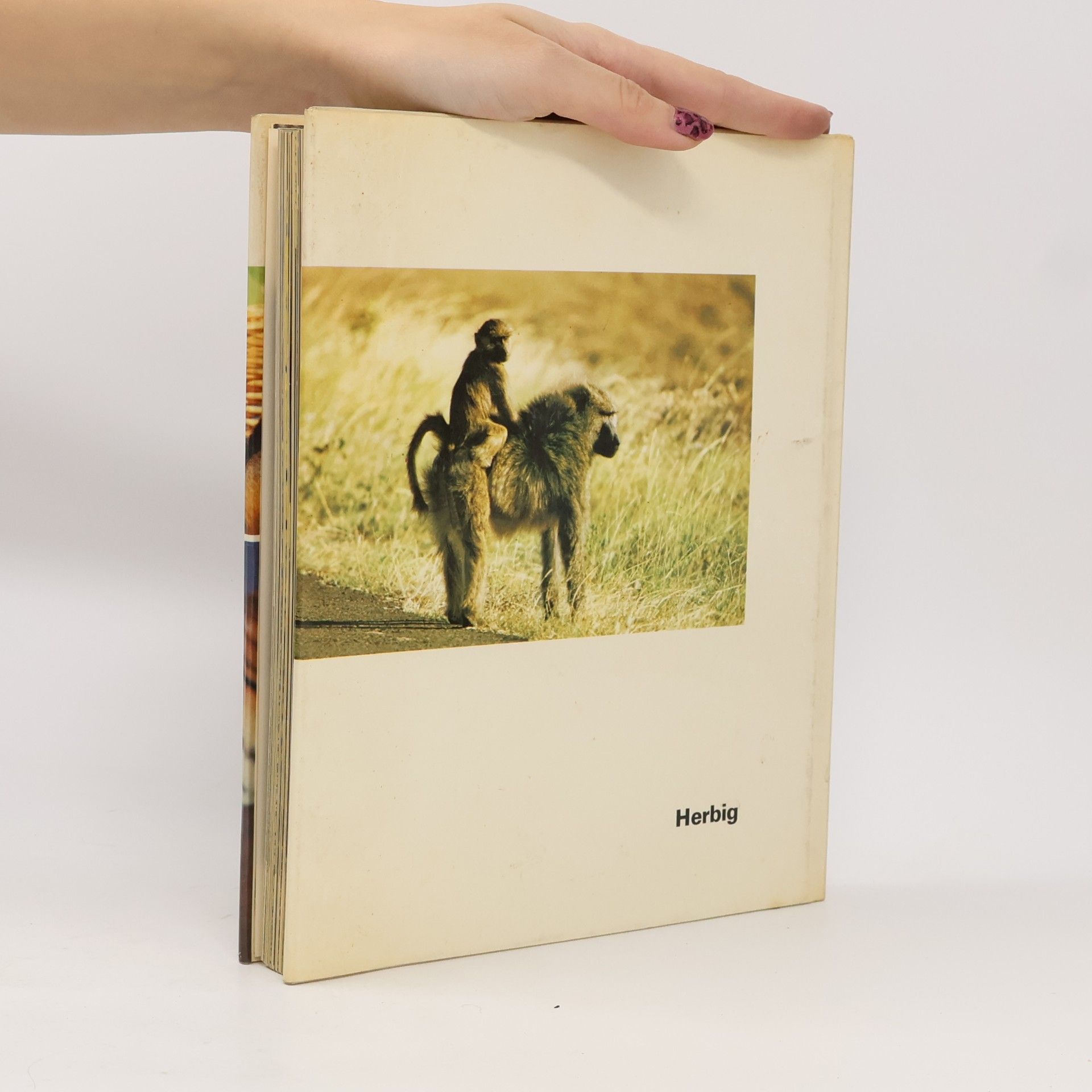 Autores varios Freude mit Tierkindern