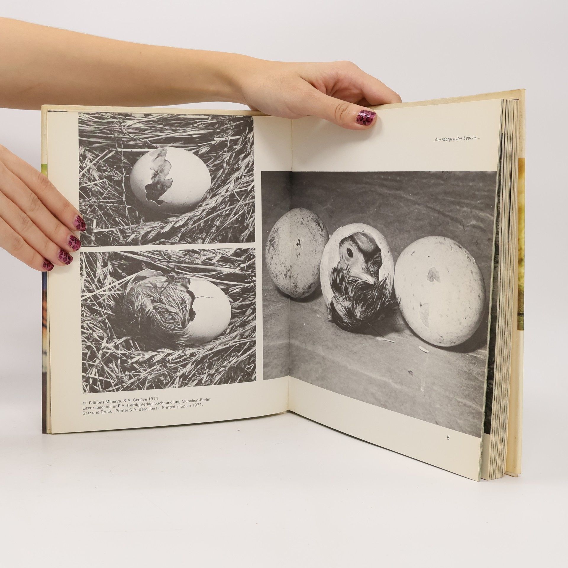 Autores varios Freude mit Tierkindern