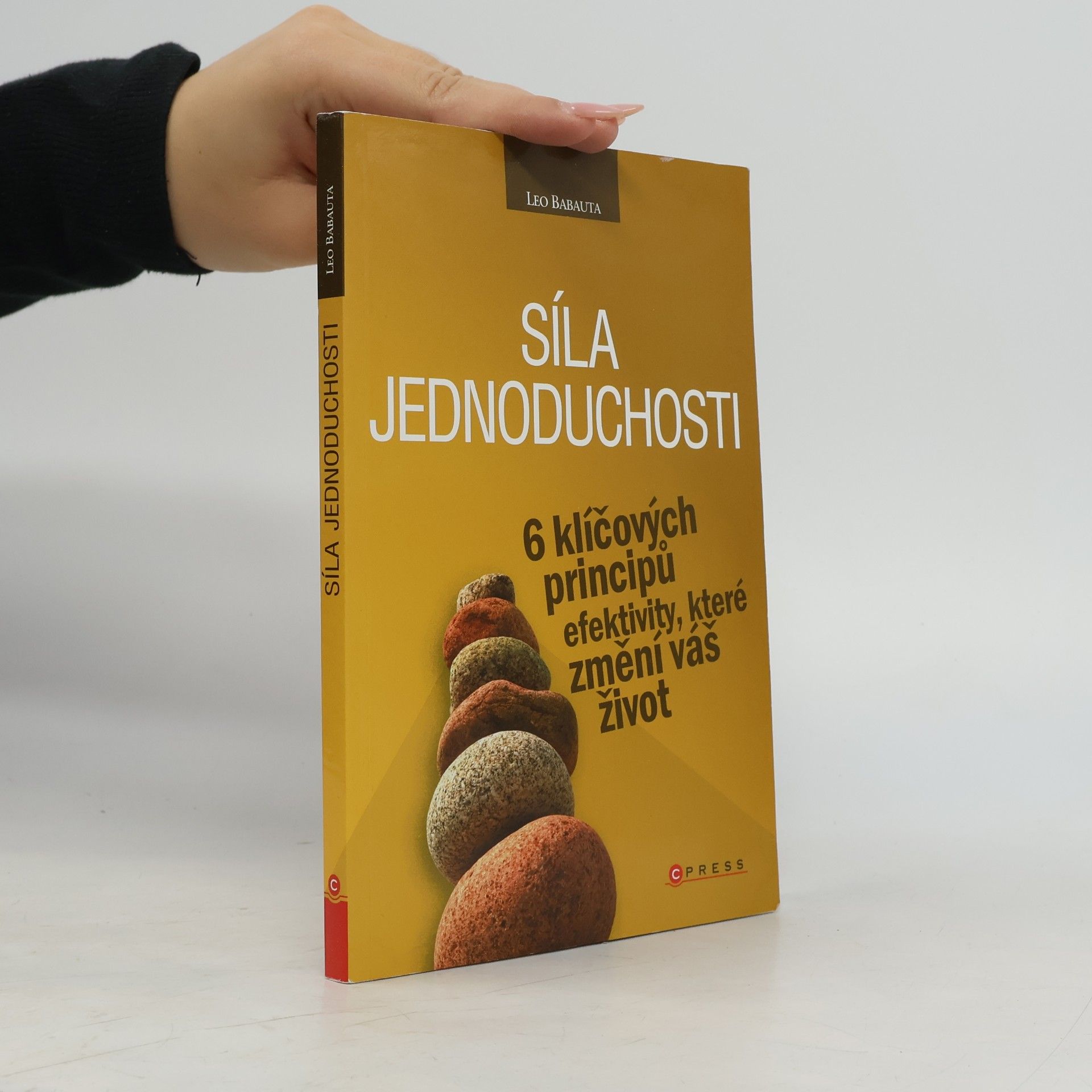 Síla jednoduchosti. 6 klíčových principů efektivity, které změní váš život