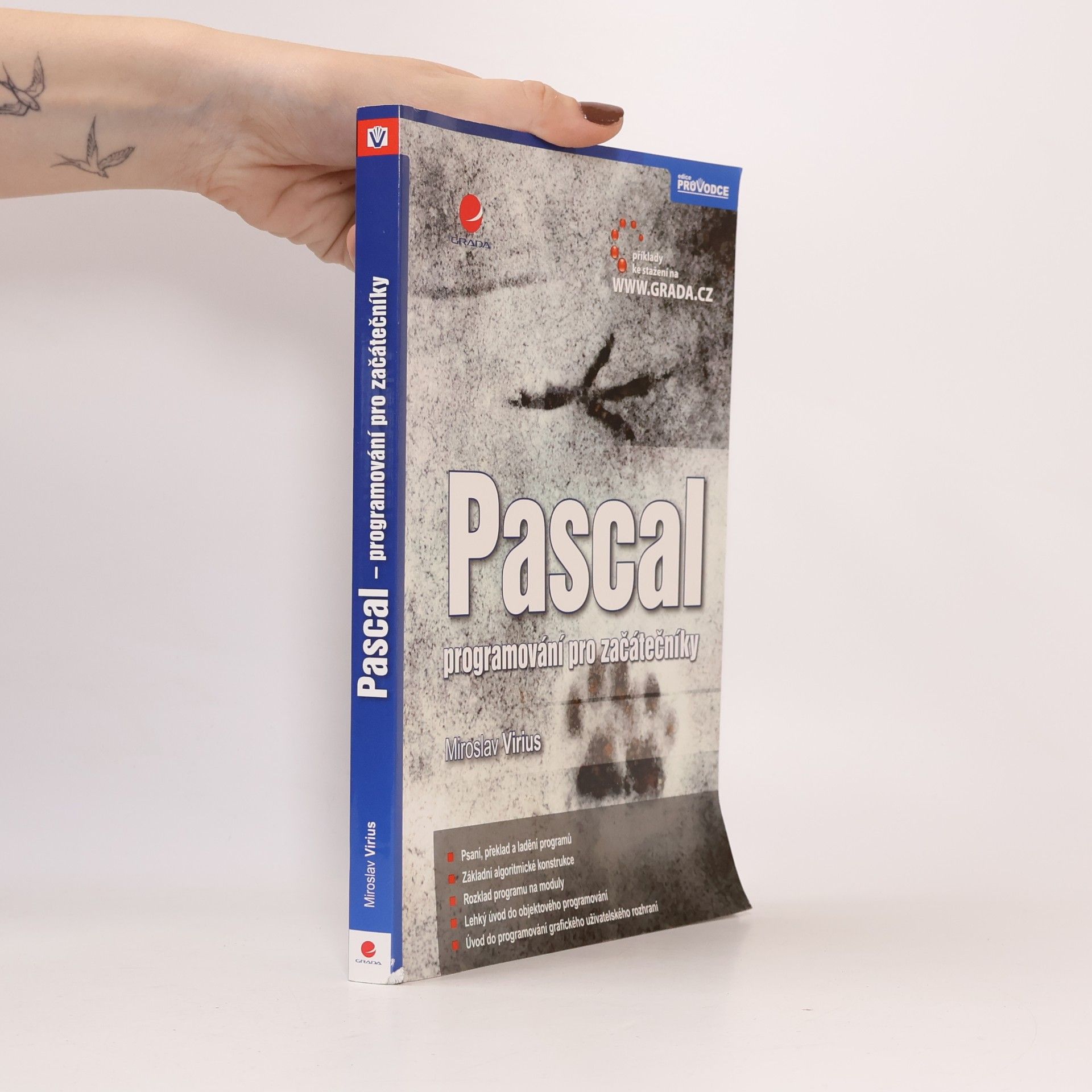 Pascal : programování pro začátečníky