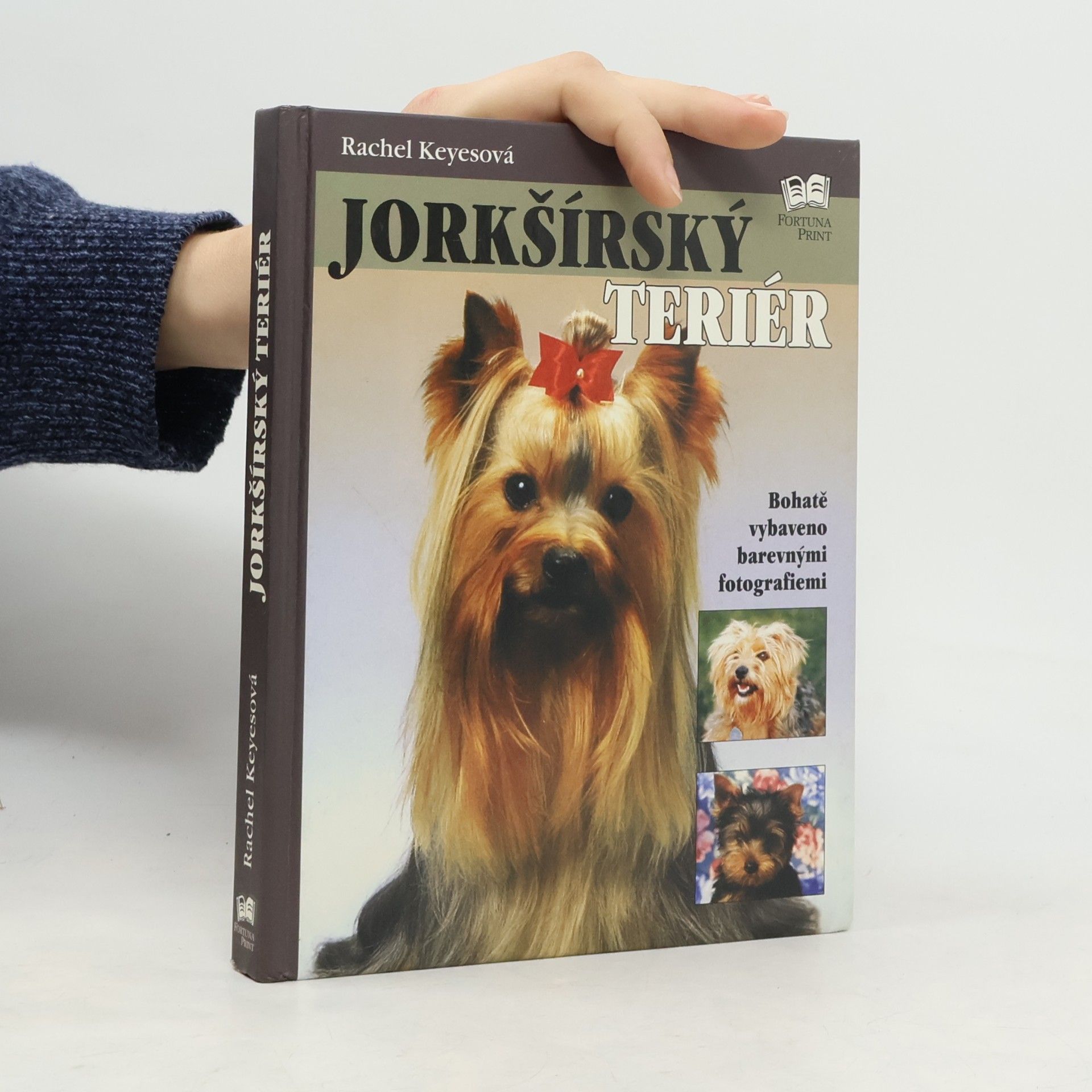 Rachel Keyes Jorkšírský teriér