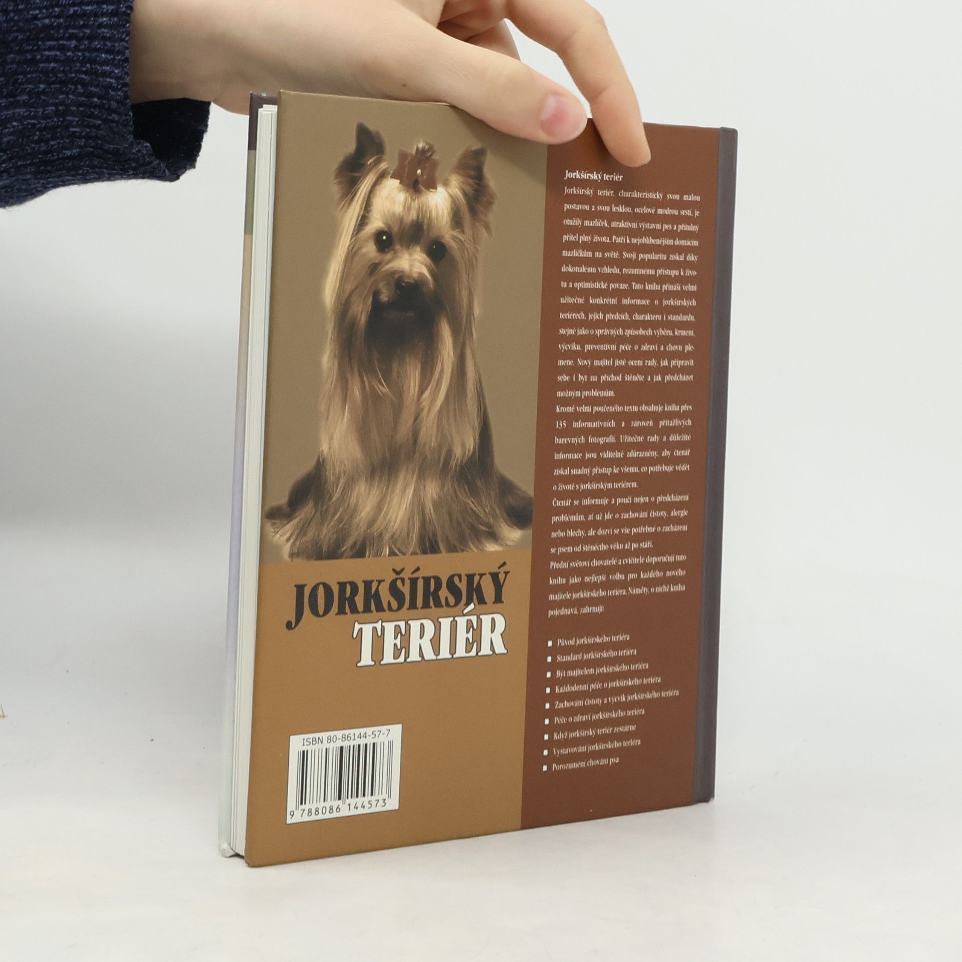 Rachel Keyes Jorkšírský teriér