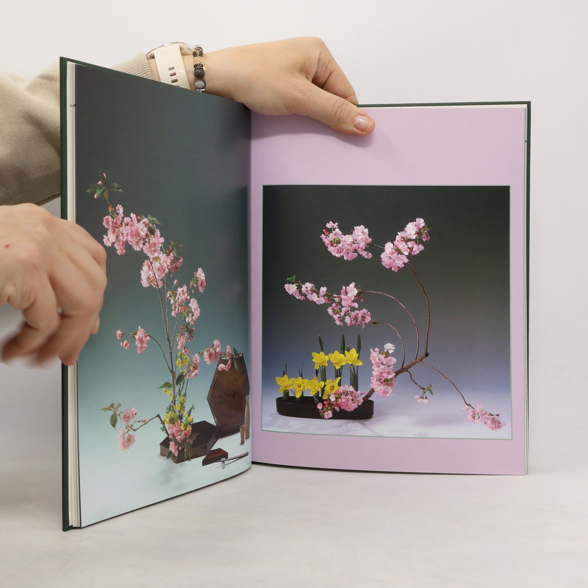 Kikuto Sakagawa Ikebana