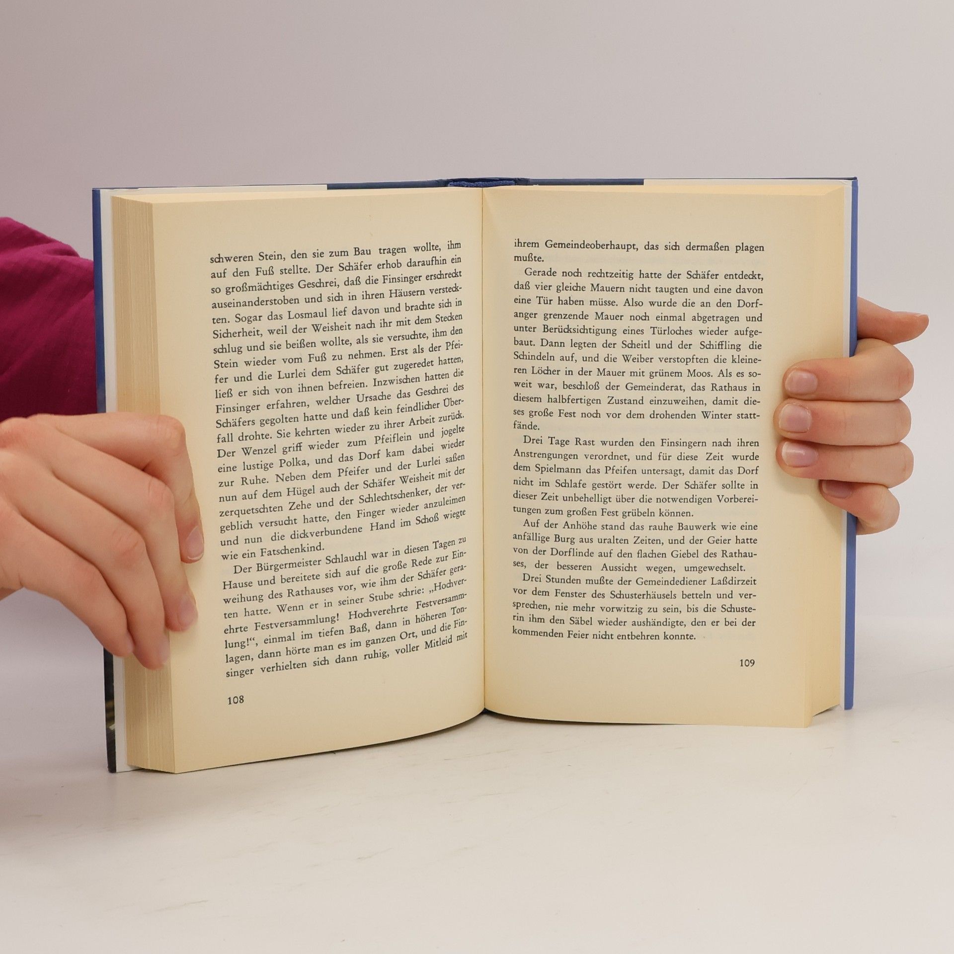 Paul Friedl Finsing : Roman