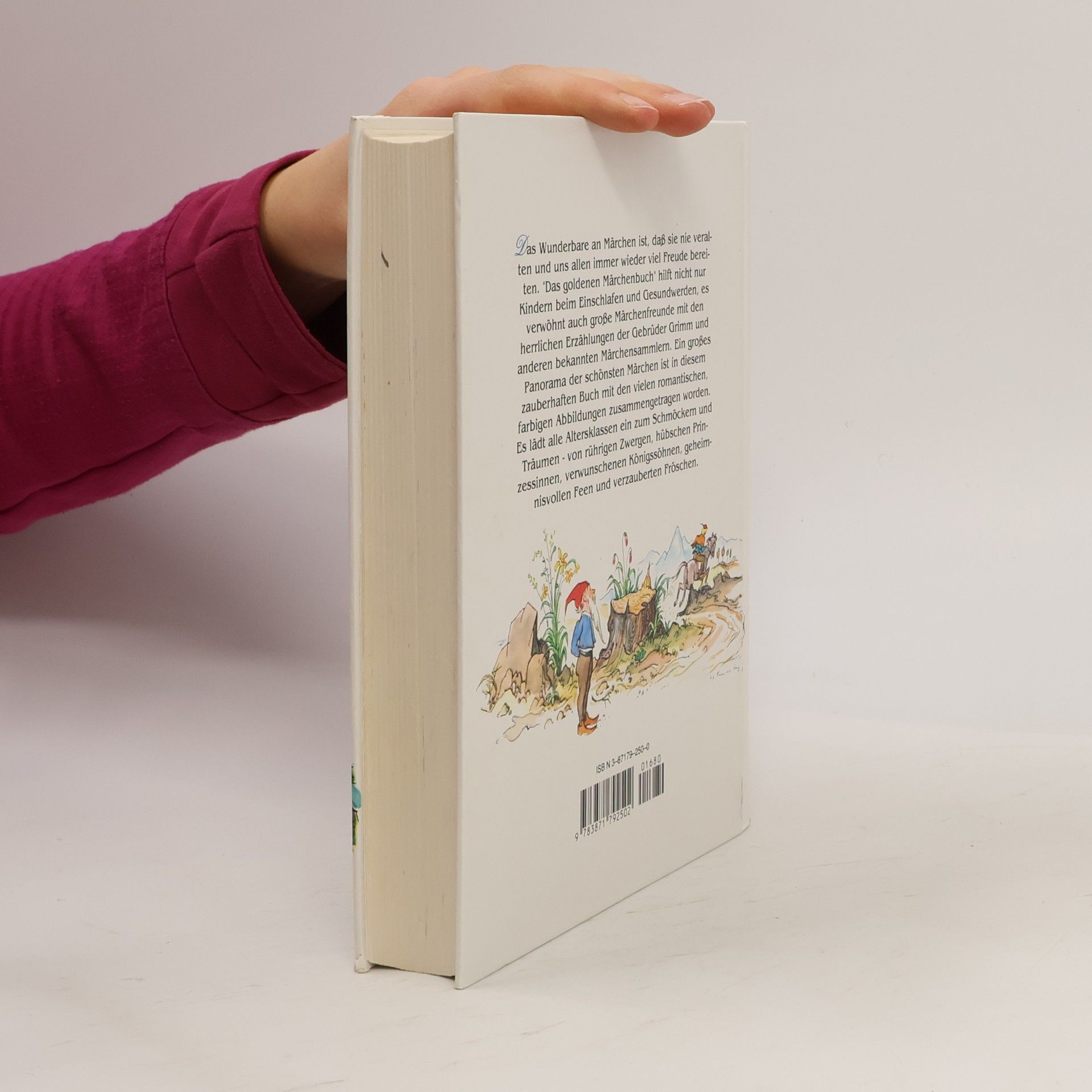 Edmund Mudrak Das goldene Märchenbuch