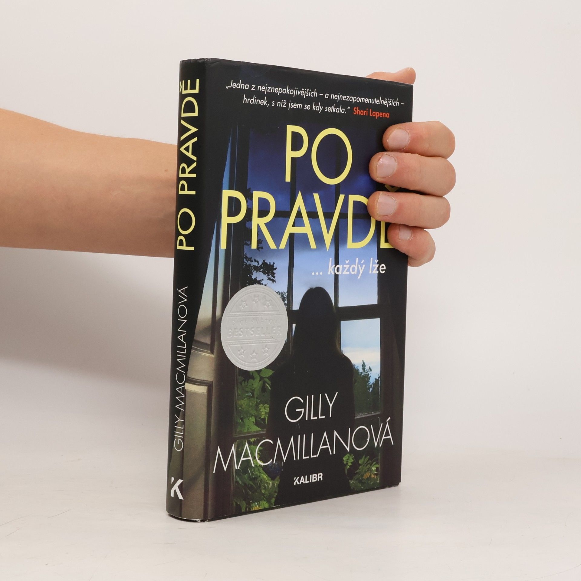 Gilly Macmillan Po pravdě ...každý lže