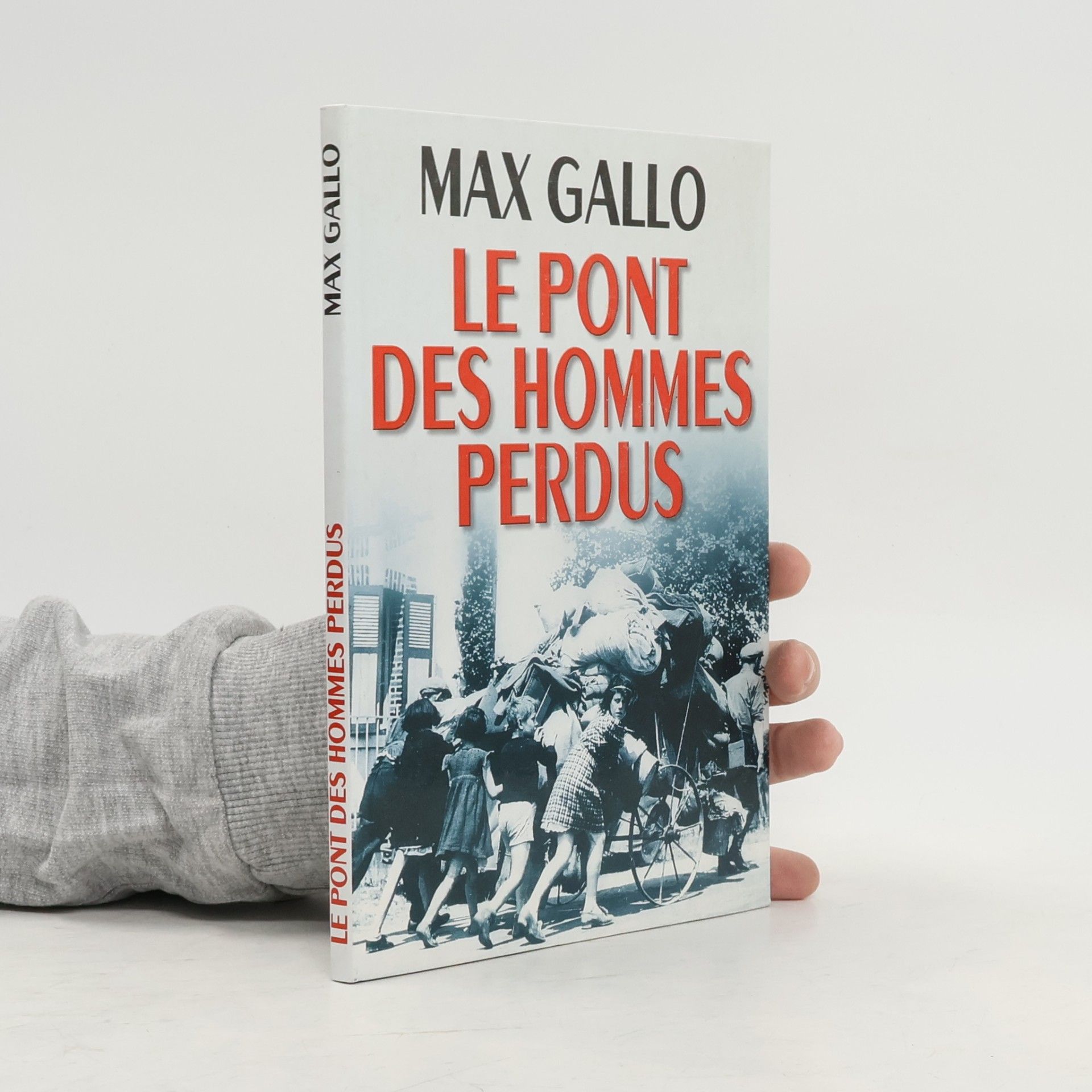 Max Gallo Le pont des hommes perdus
