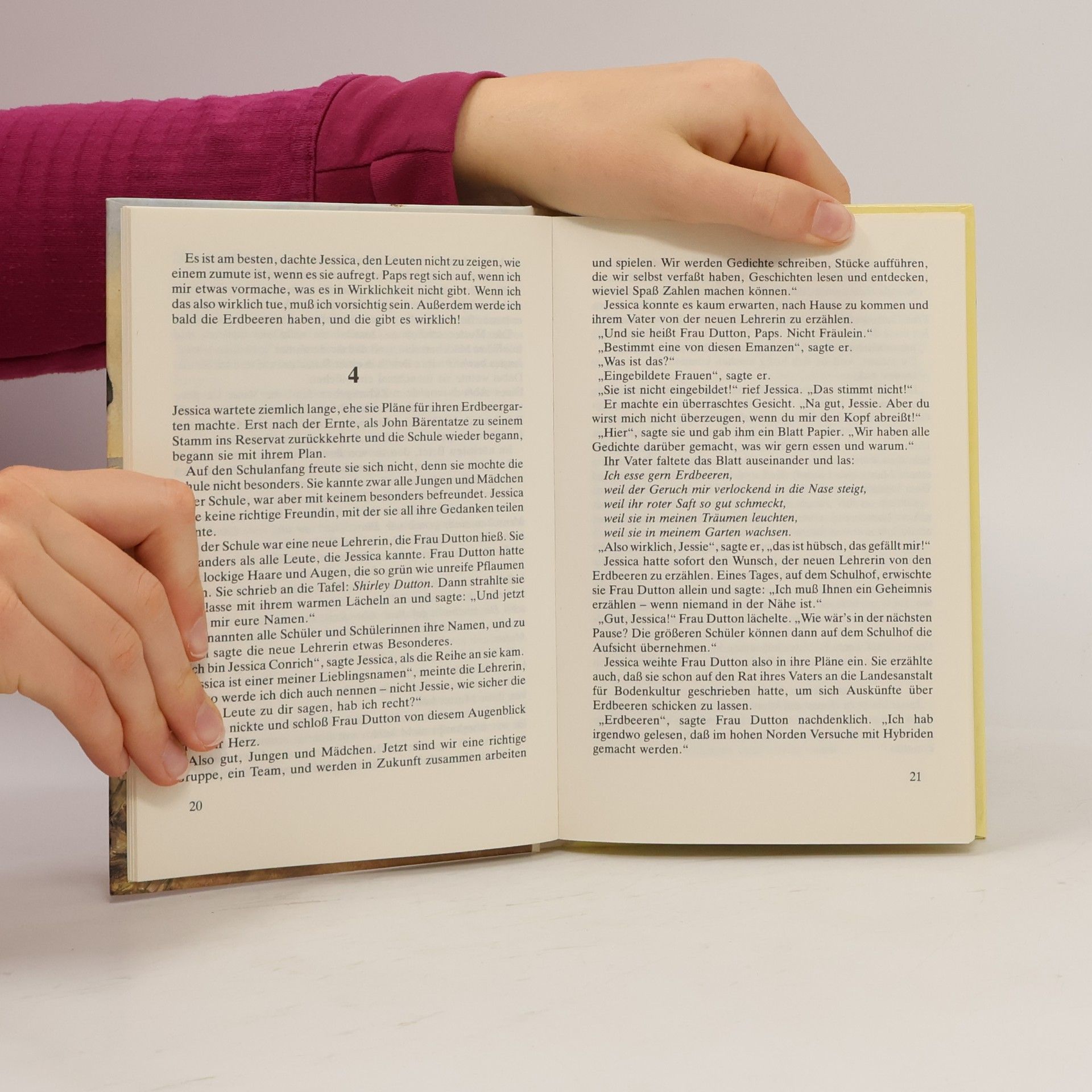 Autorenkollektiv Die geheimnisvolle Erdbeerfrau