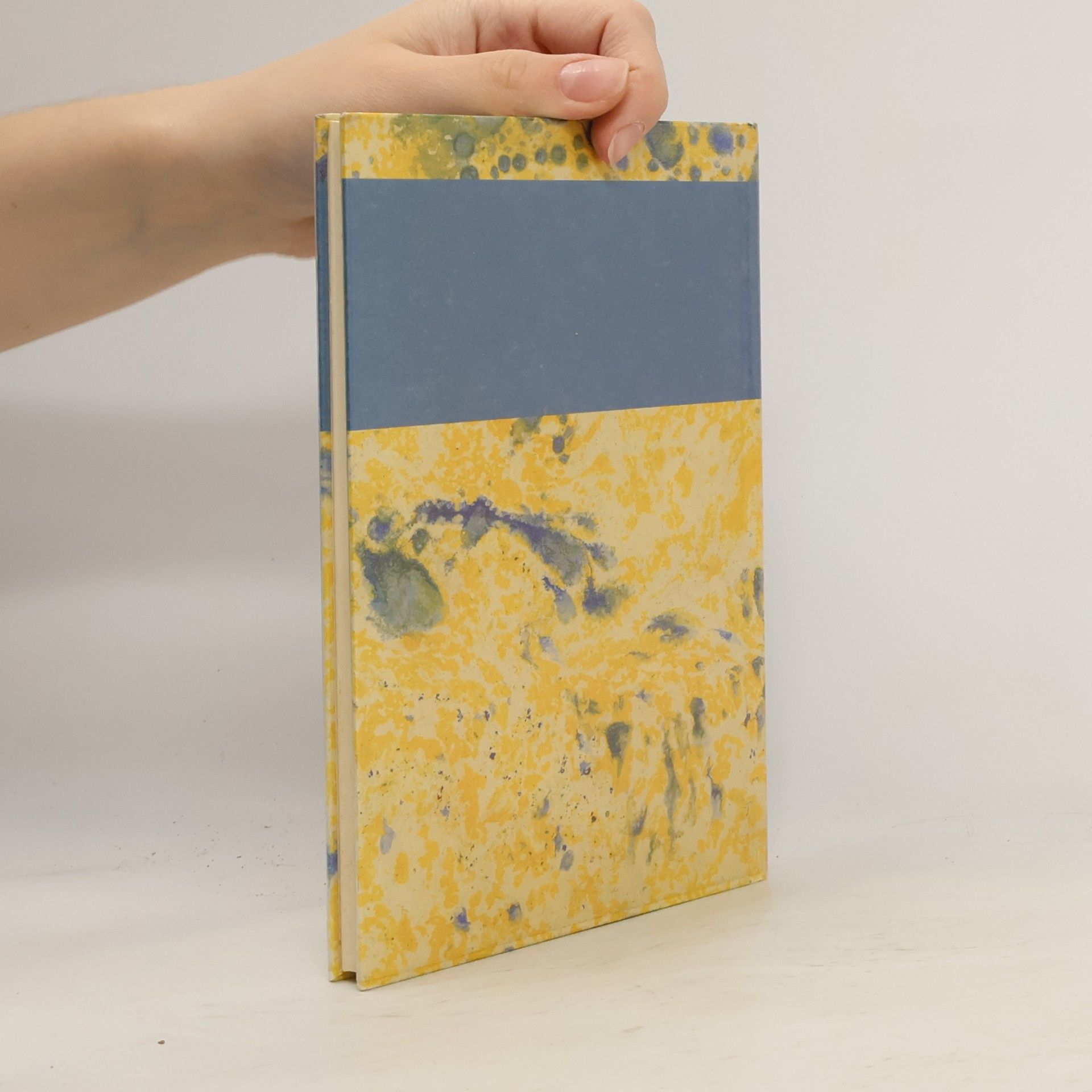 Ingeborg Drewitz Hinterm Fenster die Stadt