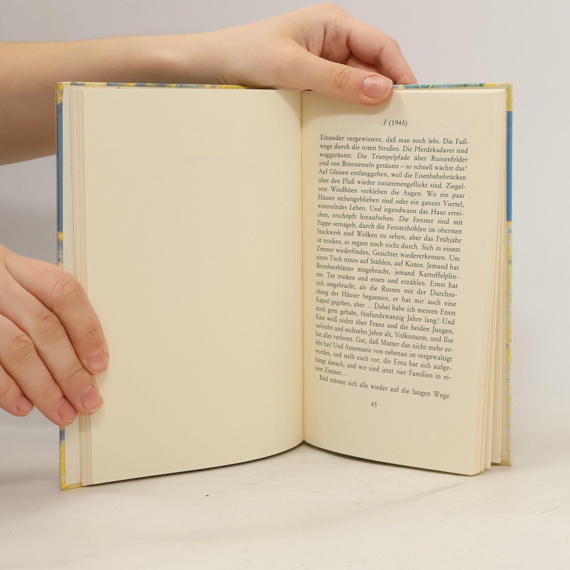 Ingeborg Drewitz Hinterm Fenster die Stadt