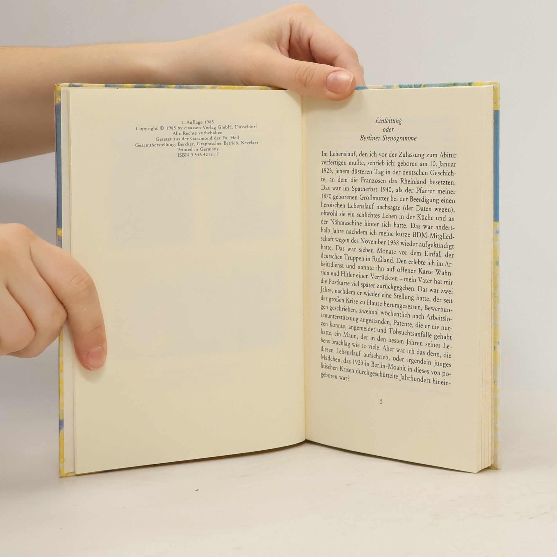 Ingeborg Drewitz Hinterm Fenster die Stadt