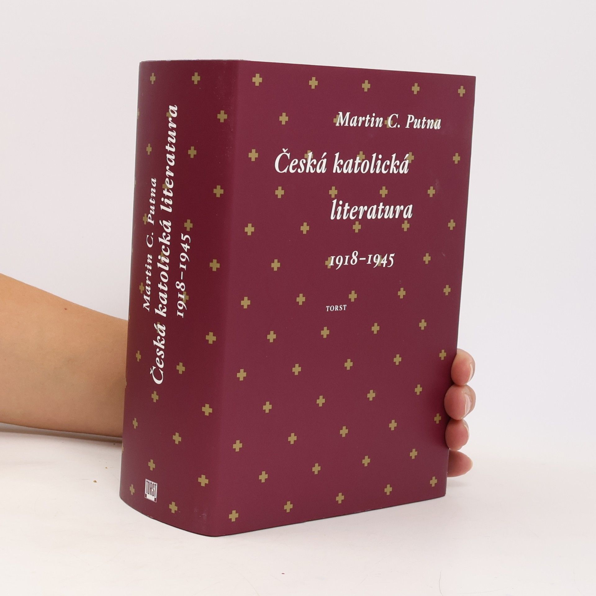 Česká katolická literatura v kontextech : 1918-1945