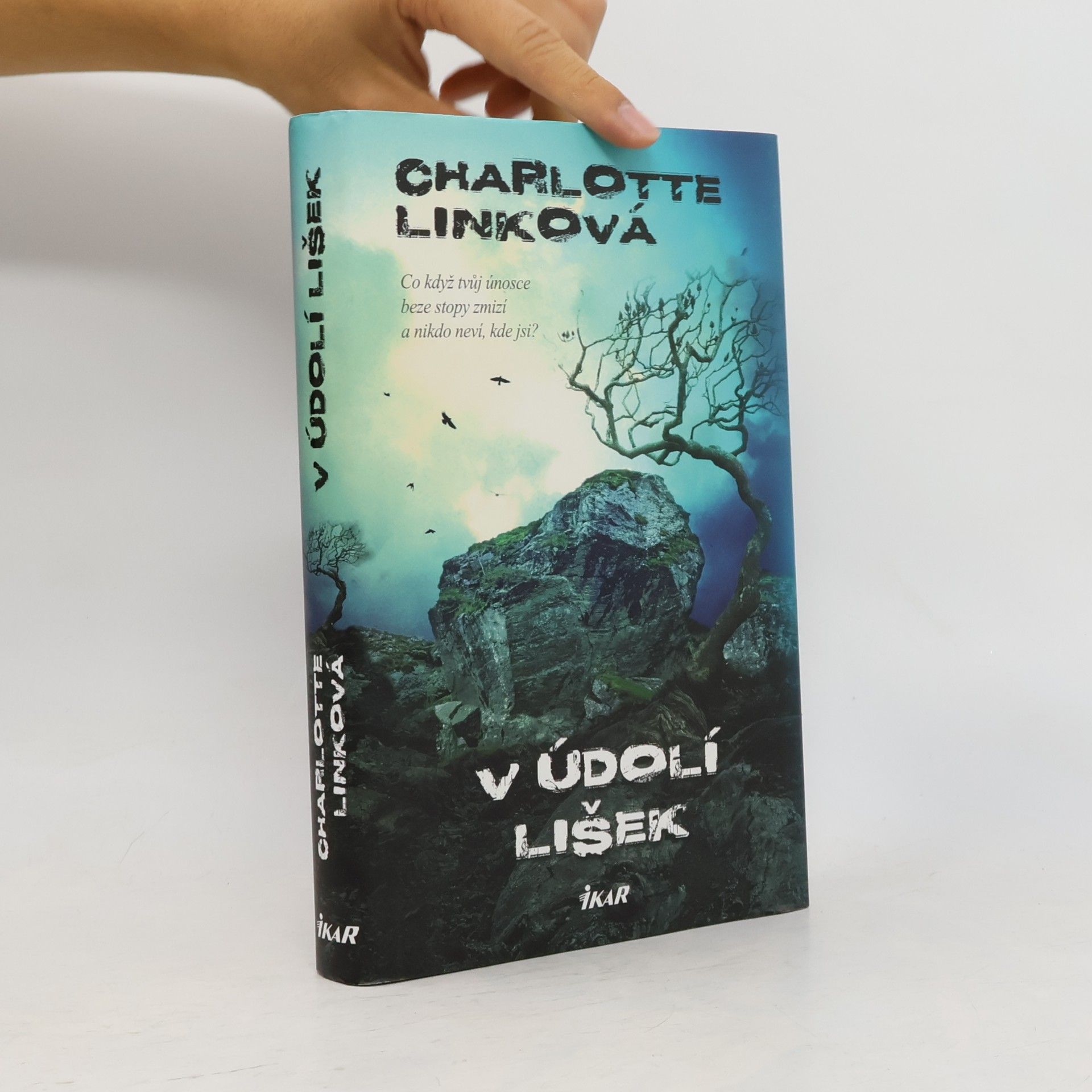 Charlotte Link V údolí lišek