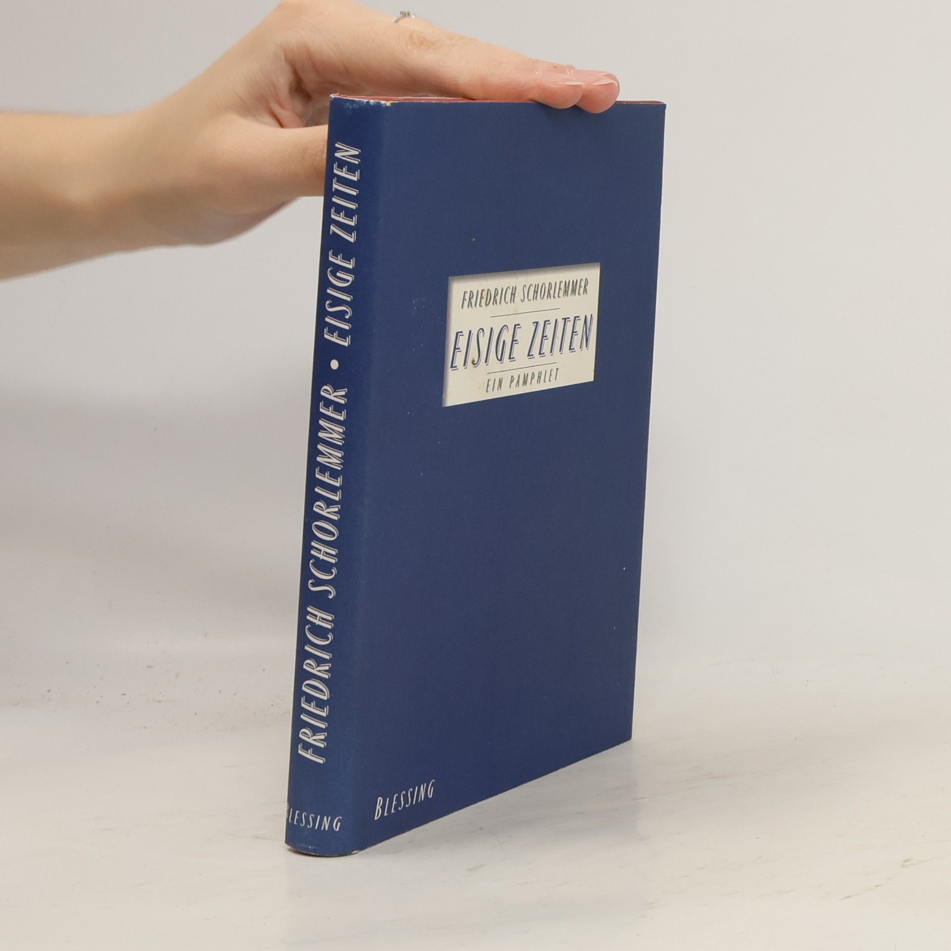 Eisige Zeiten. Ein Pamphlet