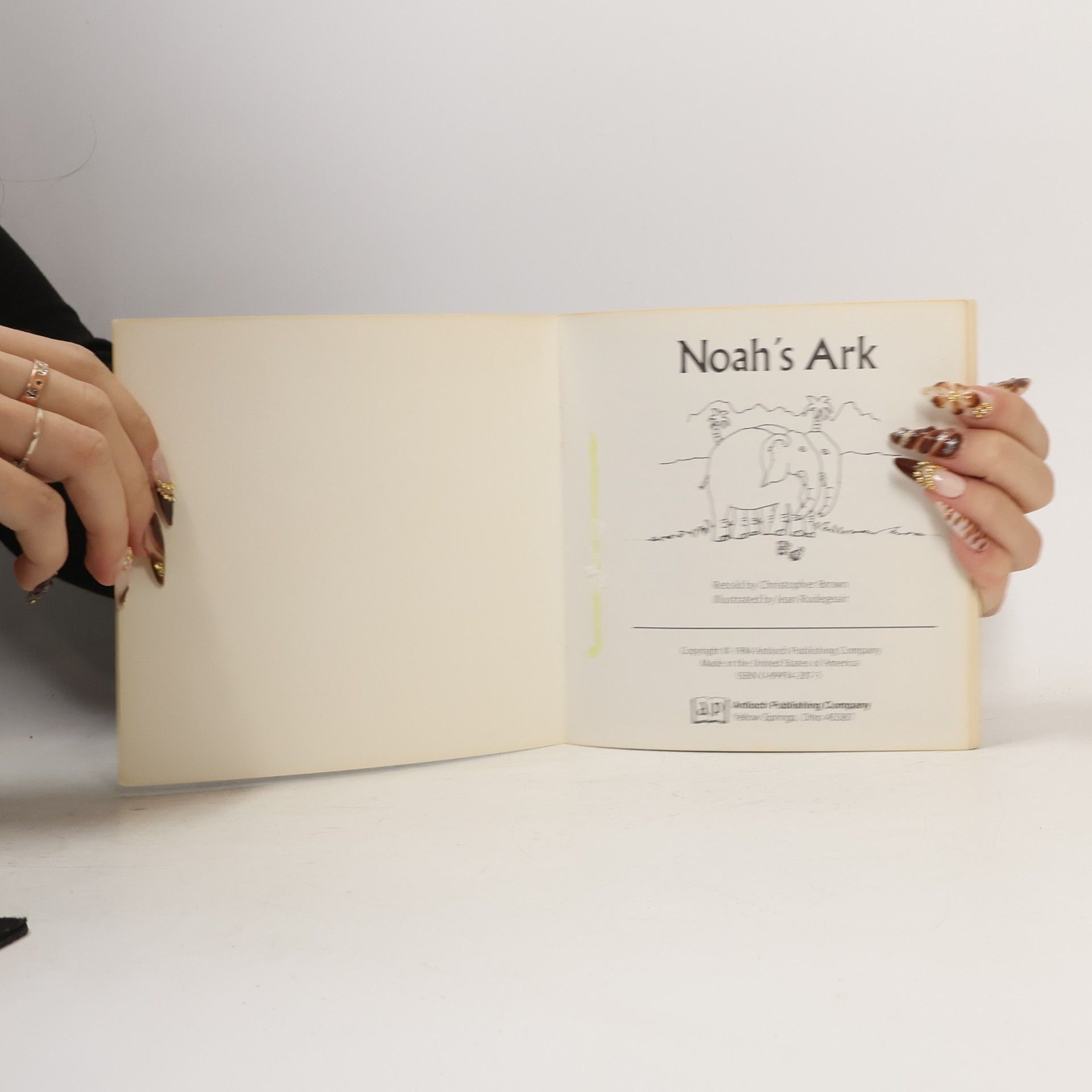 Christopher Brown Noah's Ark