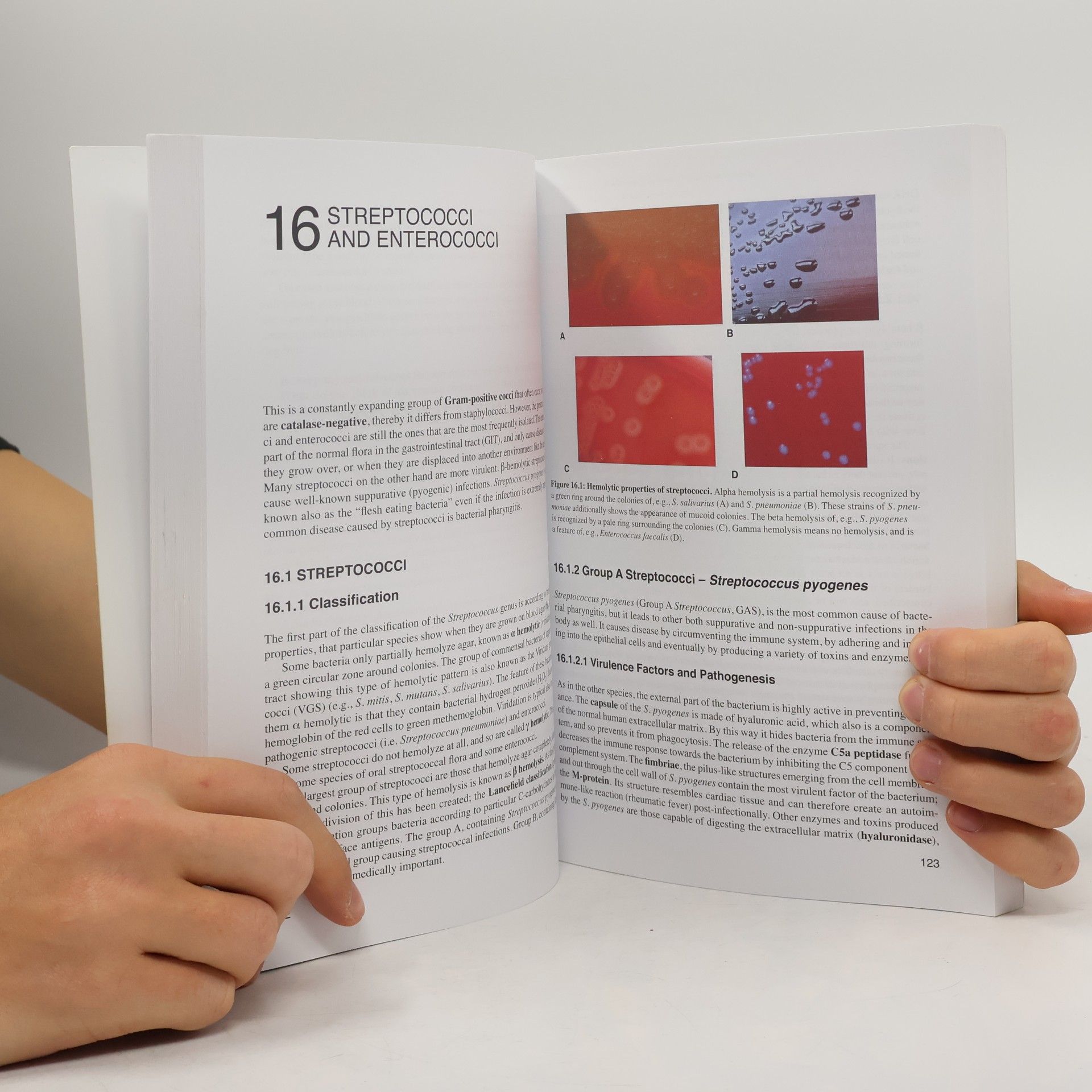 Oto Melter The MicroBook - Clinical Microbiology for Medical Students