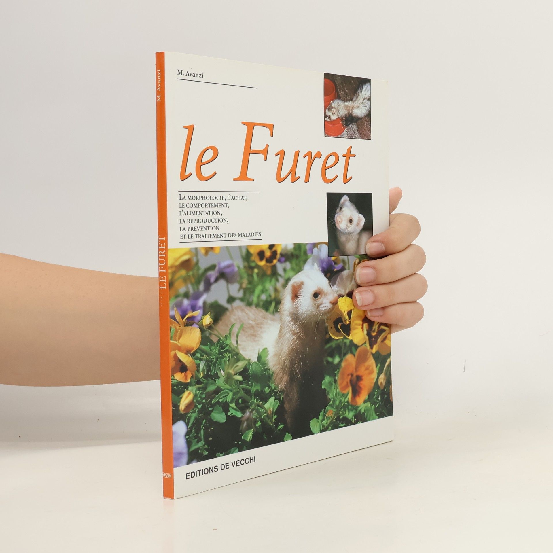 Le furet