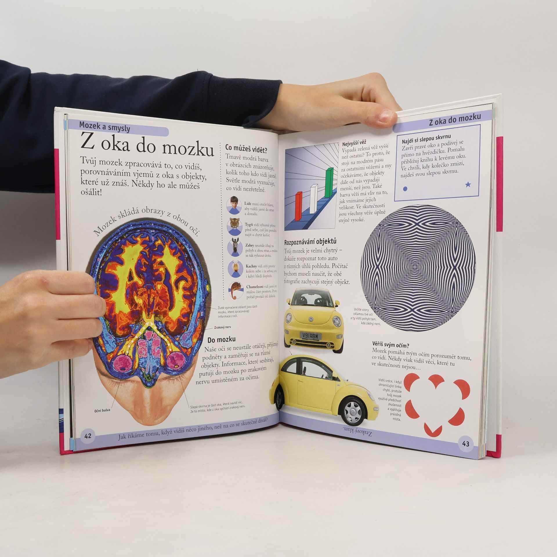 Autorenkollektiv První encyklopedie lidského těla