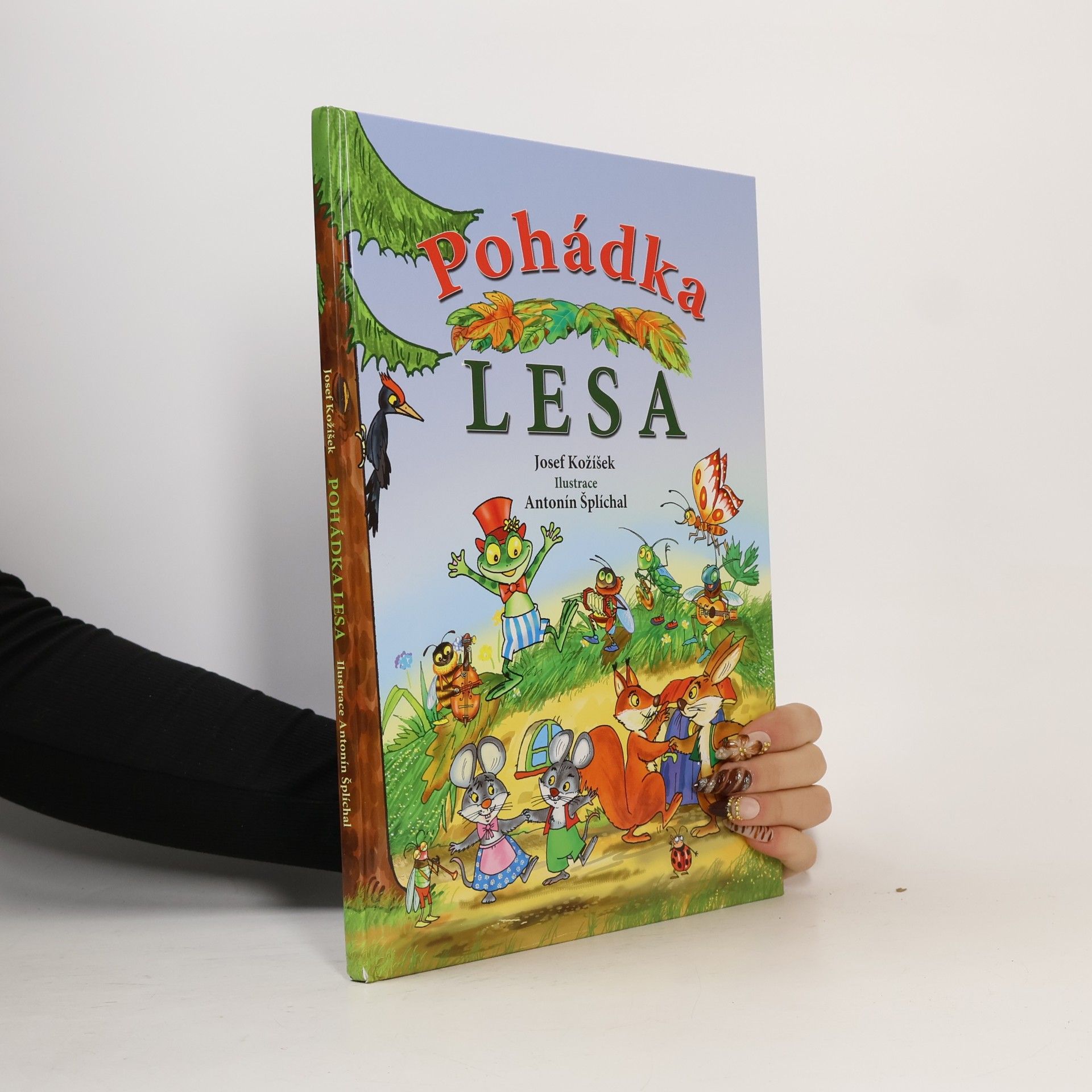 Pohádka lesa