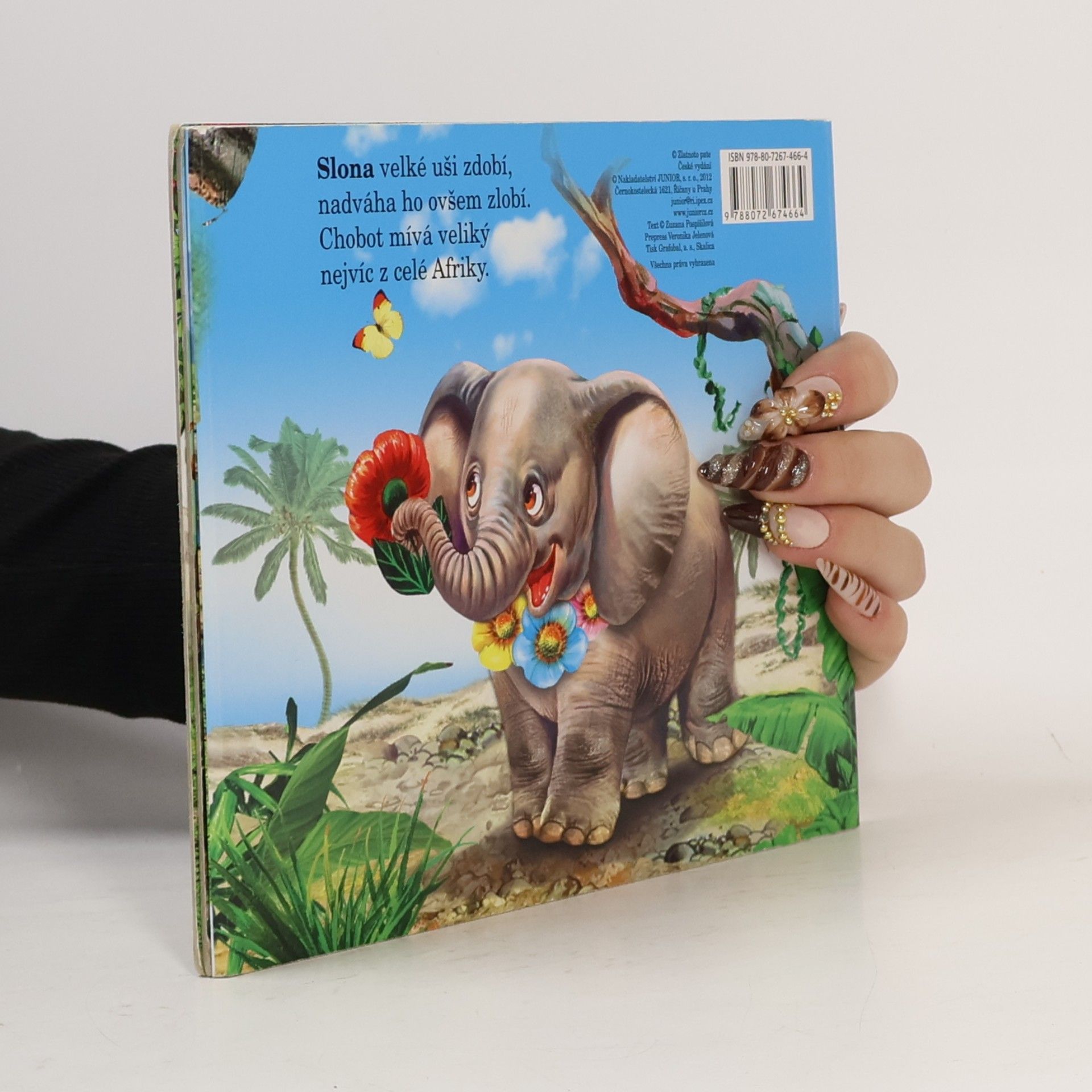 Kolektív autorov Zvířátka v ZOO