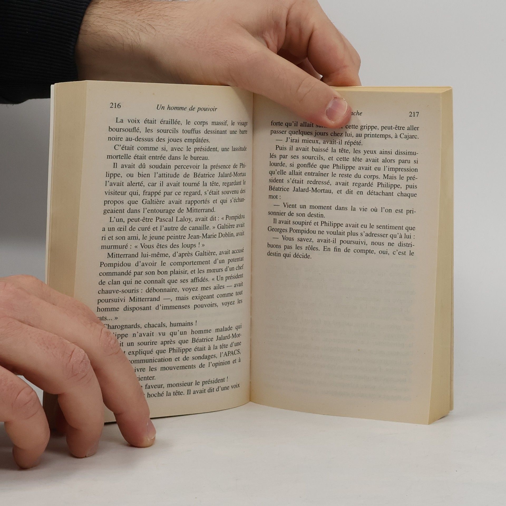 Max Gallo Le Livre de Poche: Un homme de pouvoir