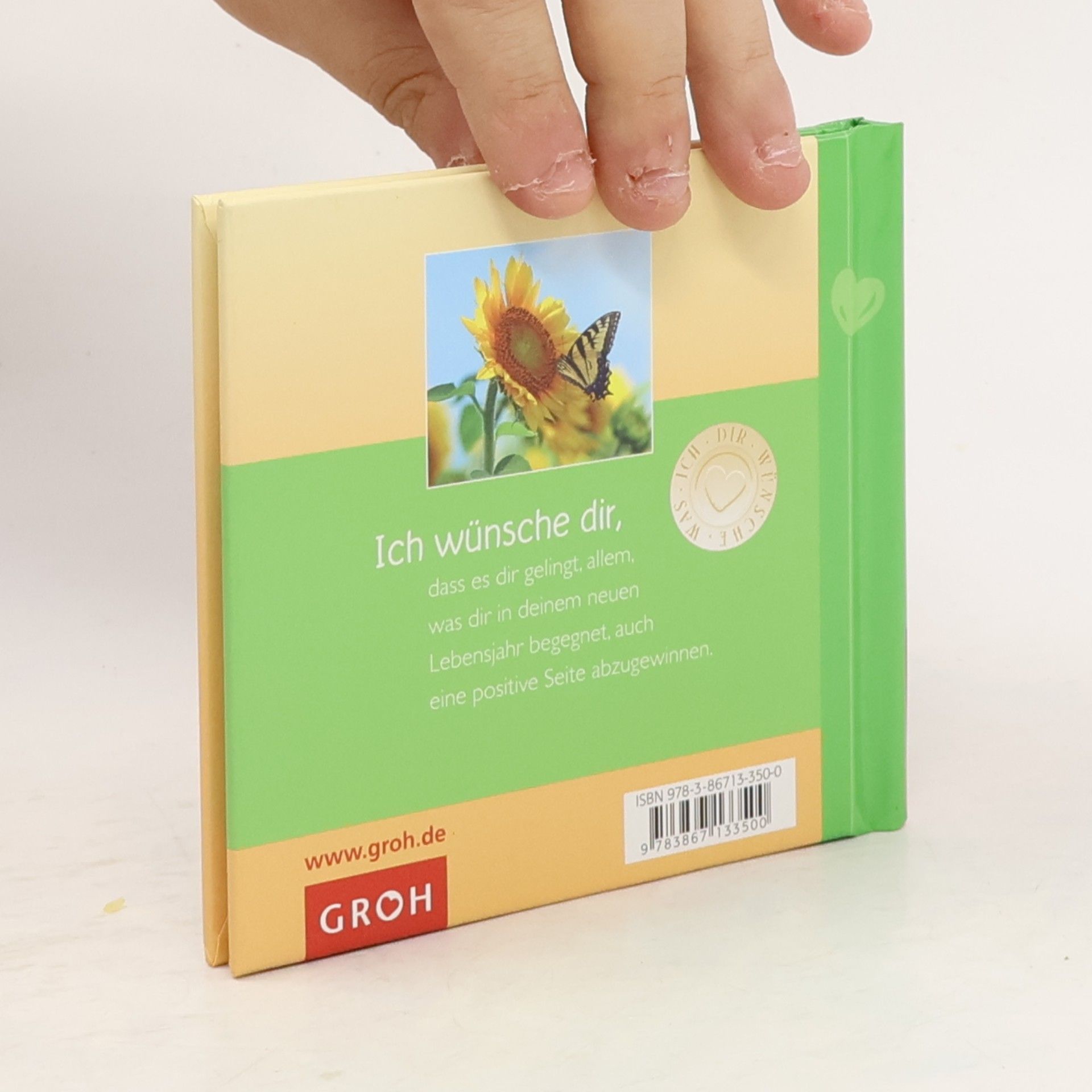 Ellen Sonntag Was ich dir zum Geburtstag wünsche