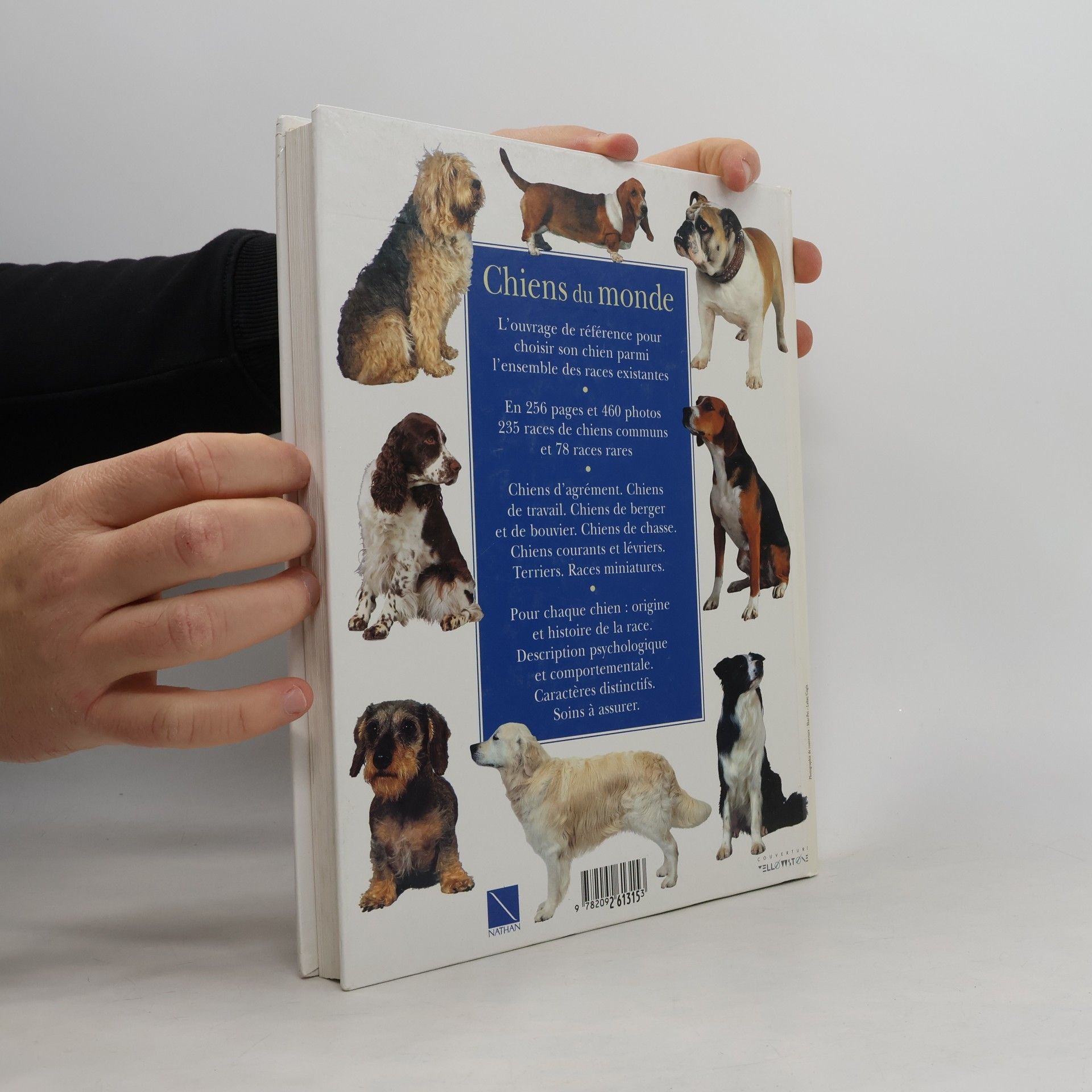 Joan Palmer Les Chiens du monde