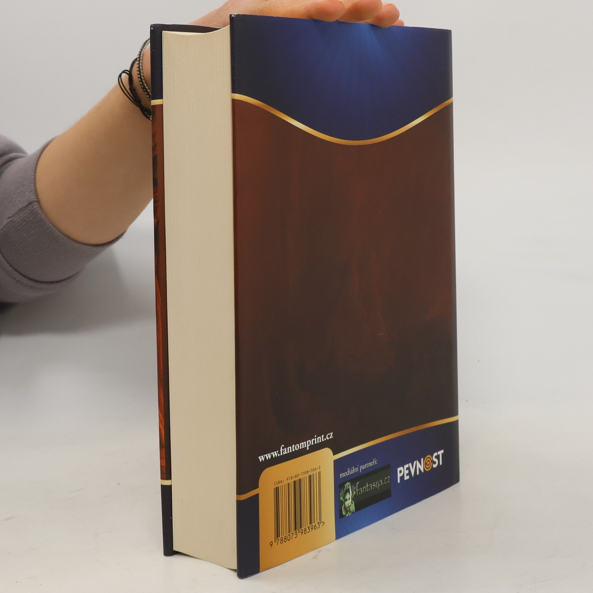 Robert Jordan Kolo času 14. Vzpomínka na Světlo