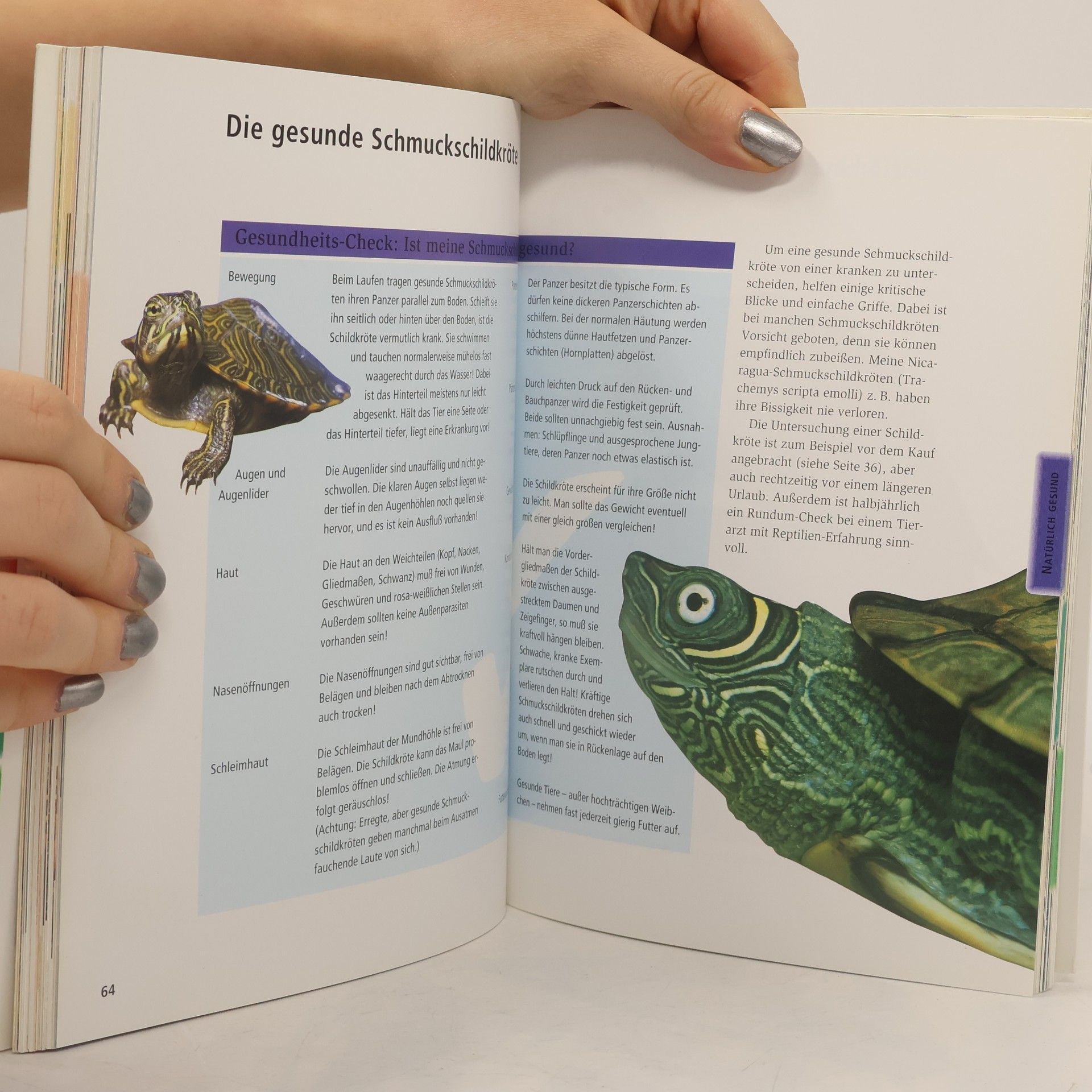 Manfred Rogner Meine Schmuckschildkröten