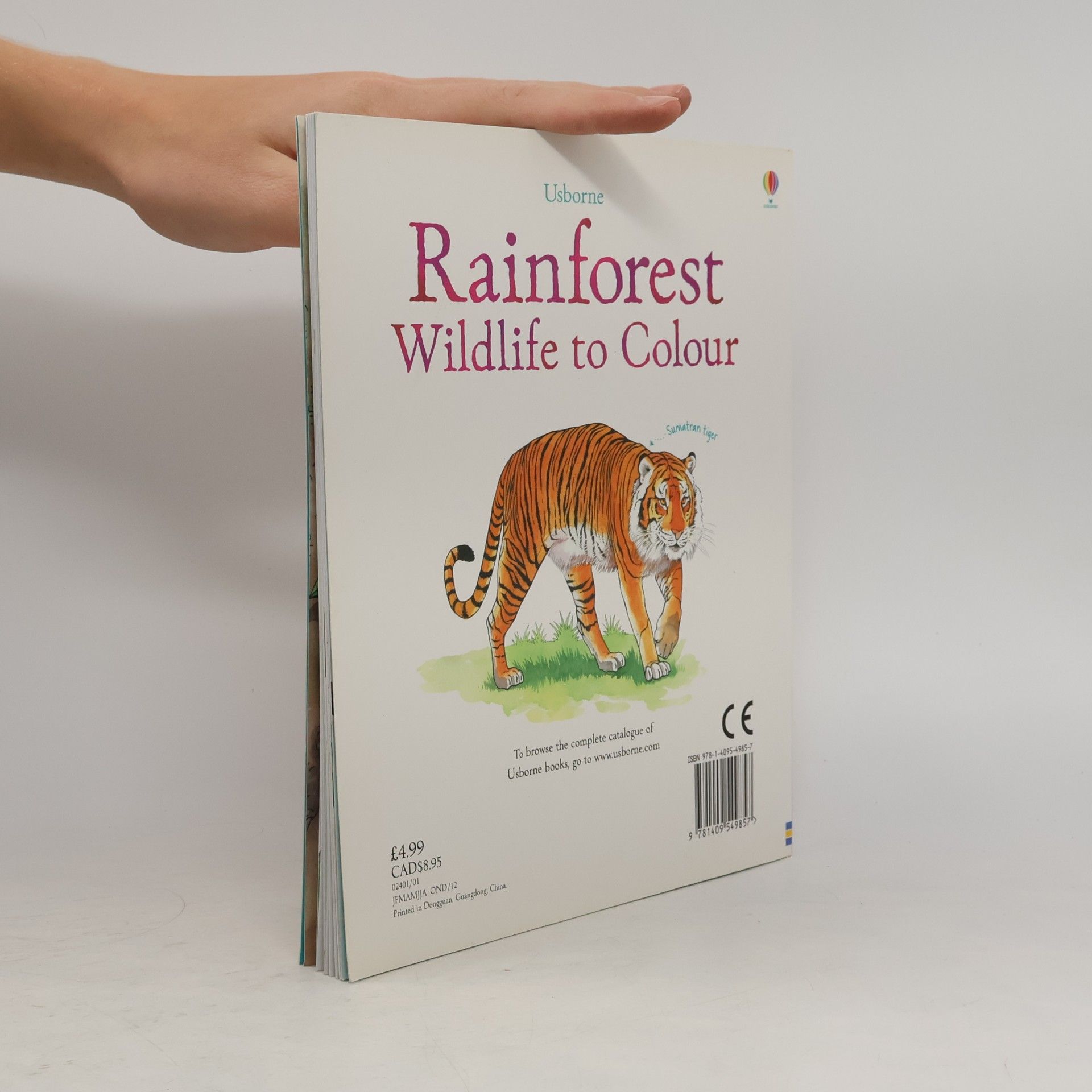 Susan Meredith Rainforest Wildlife to Colour