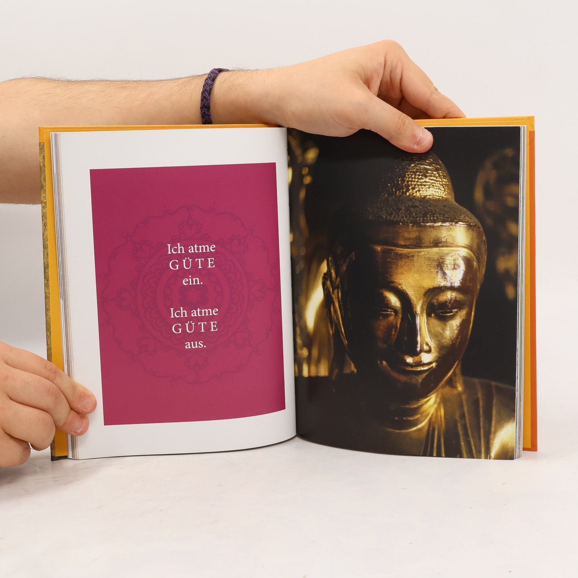 Anton Pichler Die 7-Minuten-Buddha-Meditation