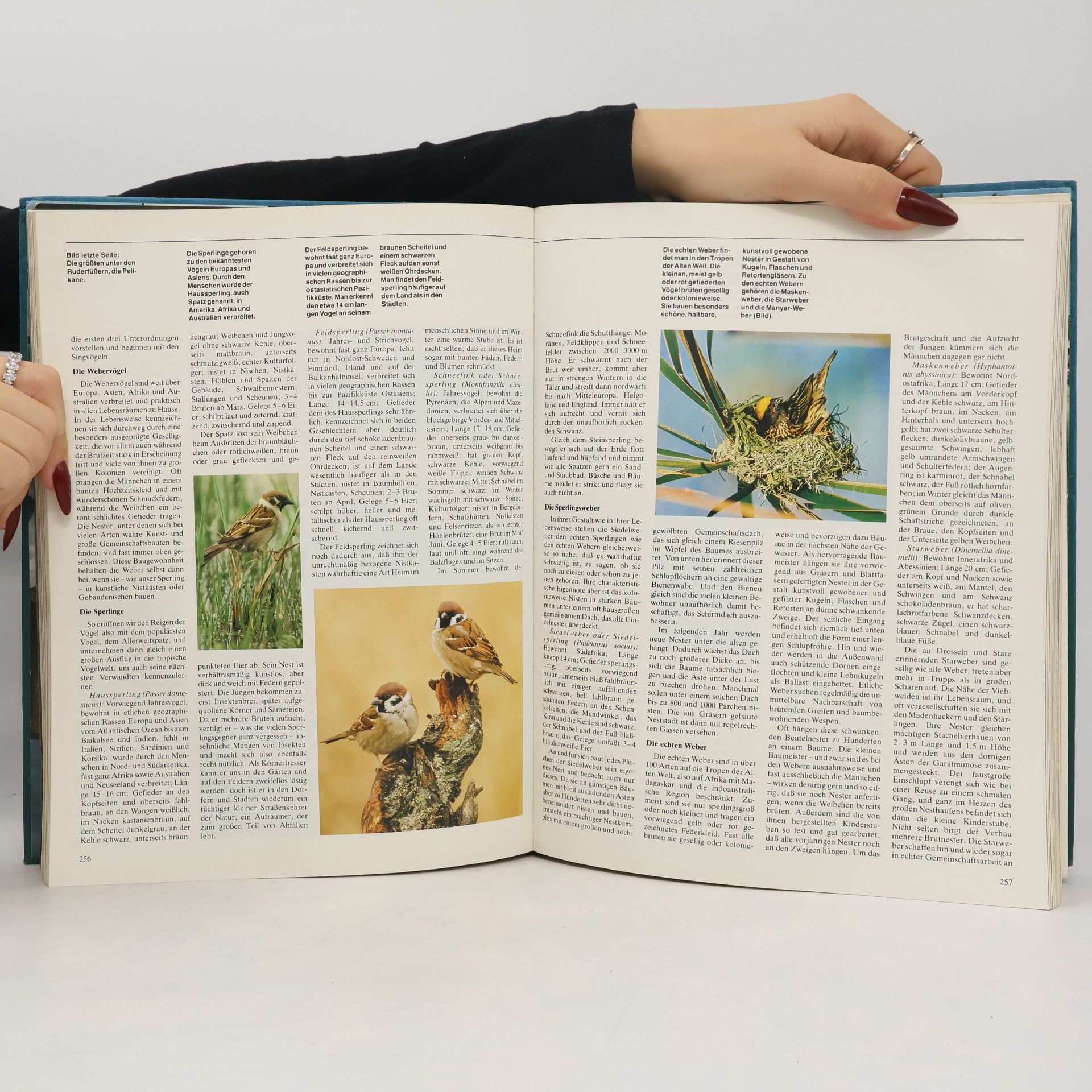 Hans-Wilhelm Smolik Weltreich der Tiere