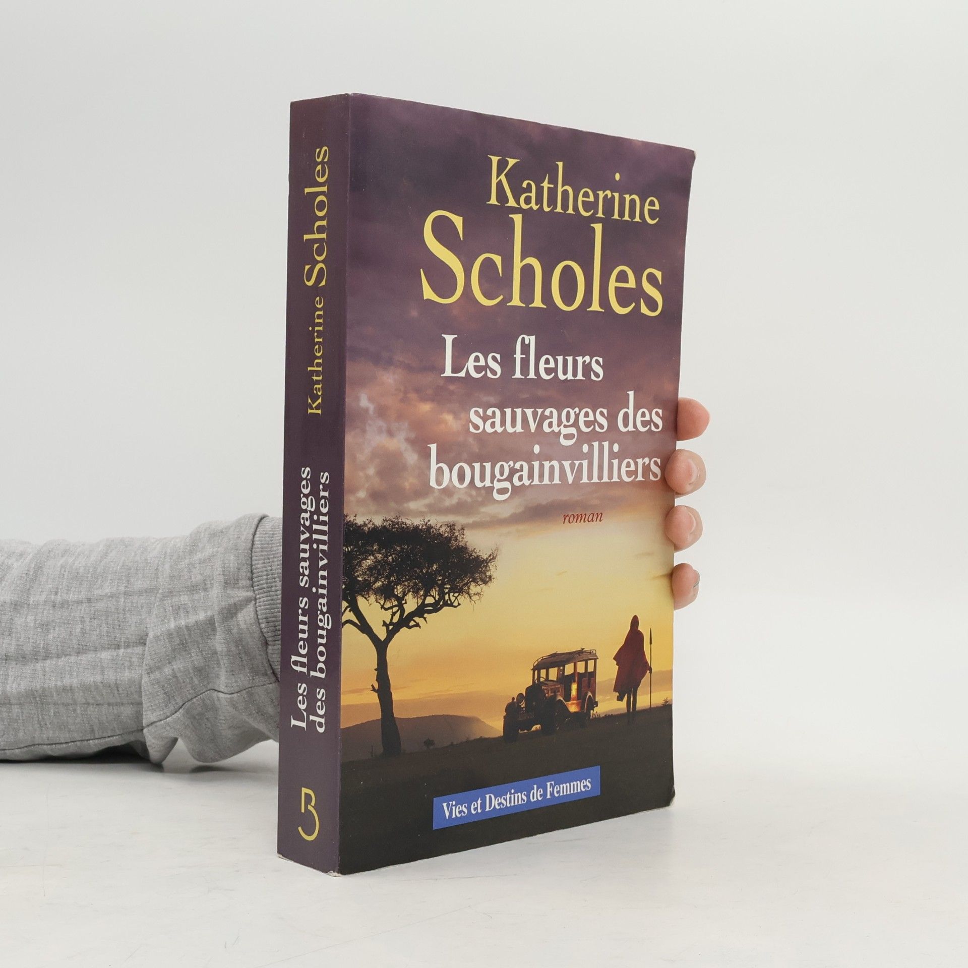 Les Fleurs sauvages des bougainvilliers