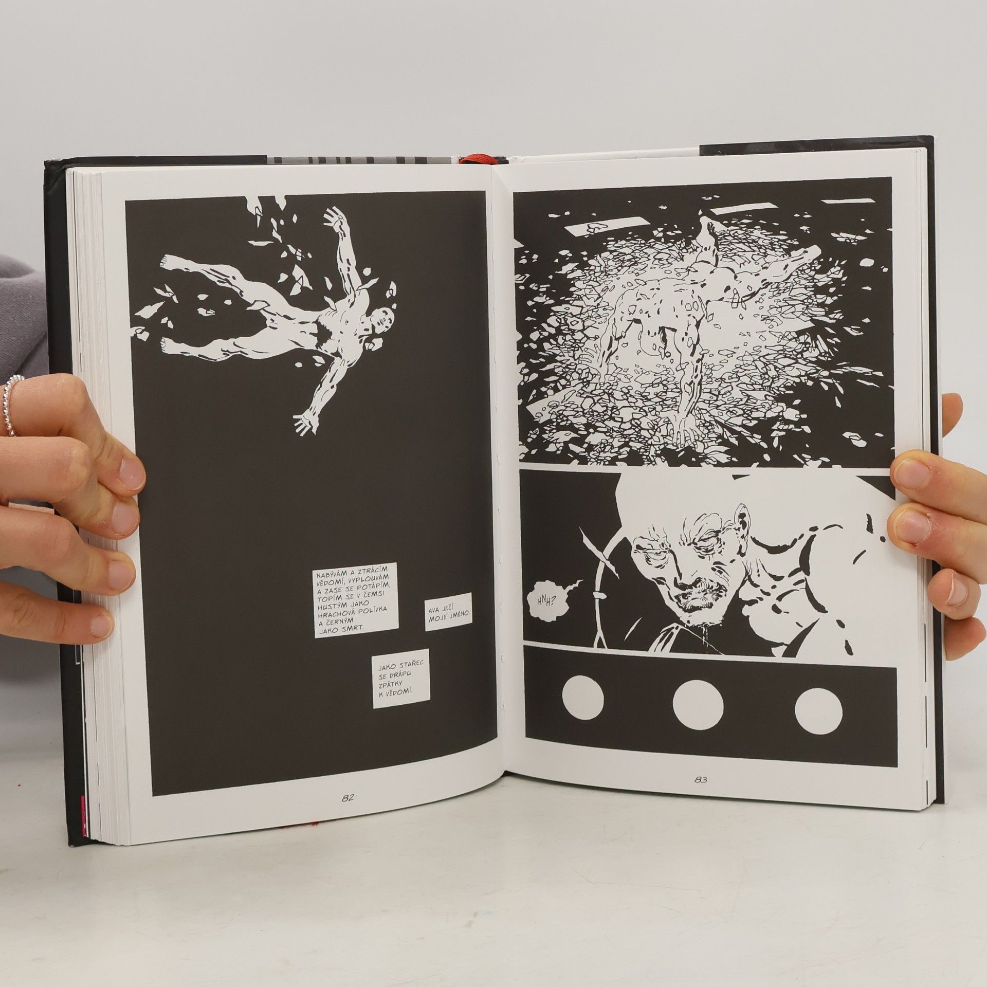 Frank Miller Sin City : město hříchu 2