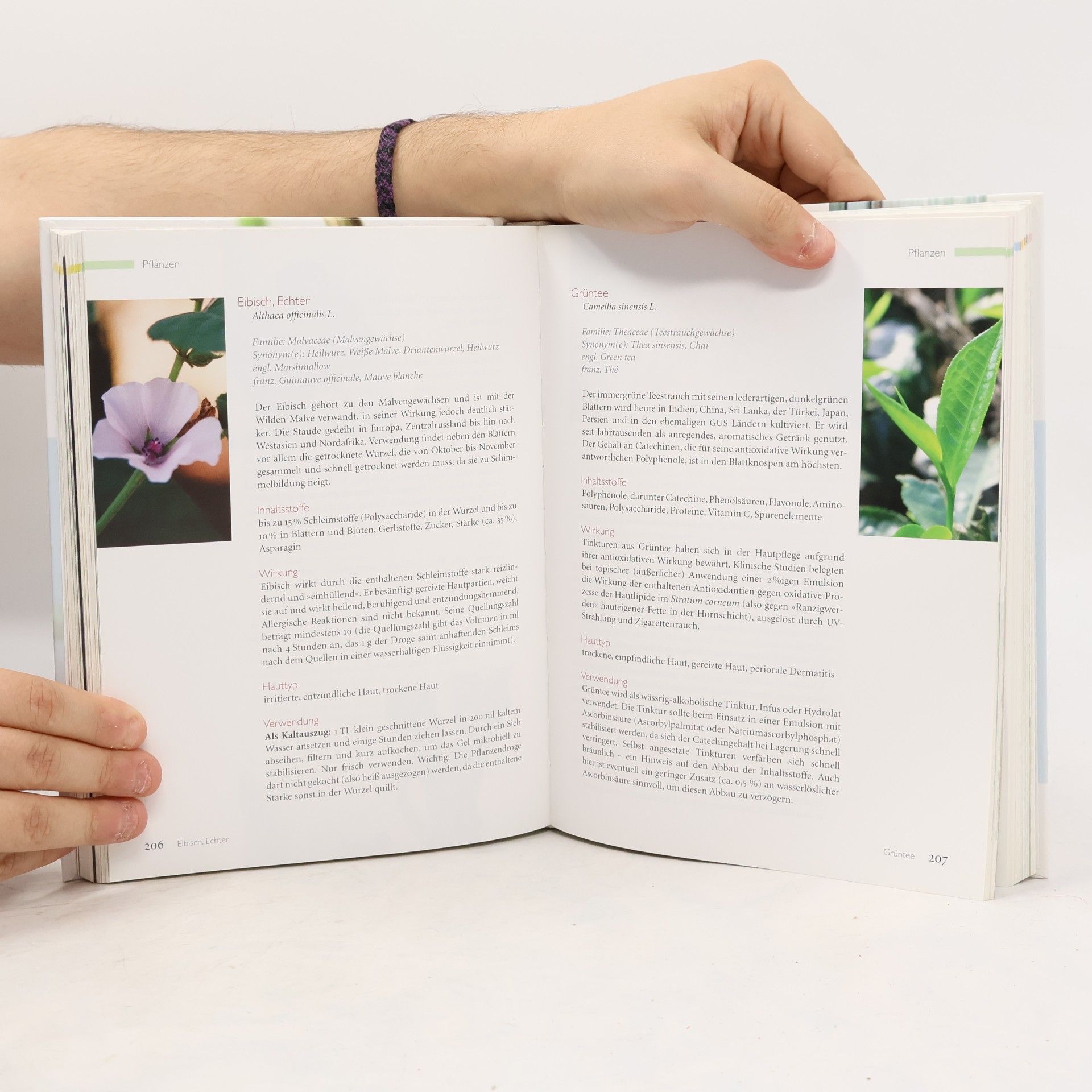 Heike Käser Naturkosmetische Rohstoffe