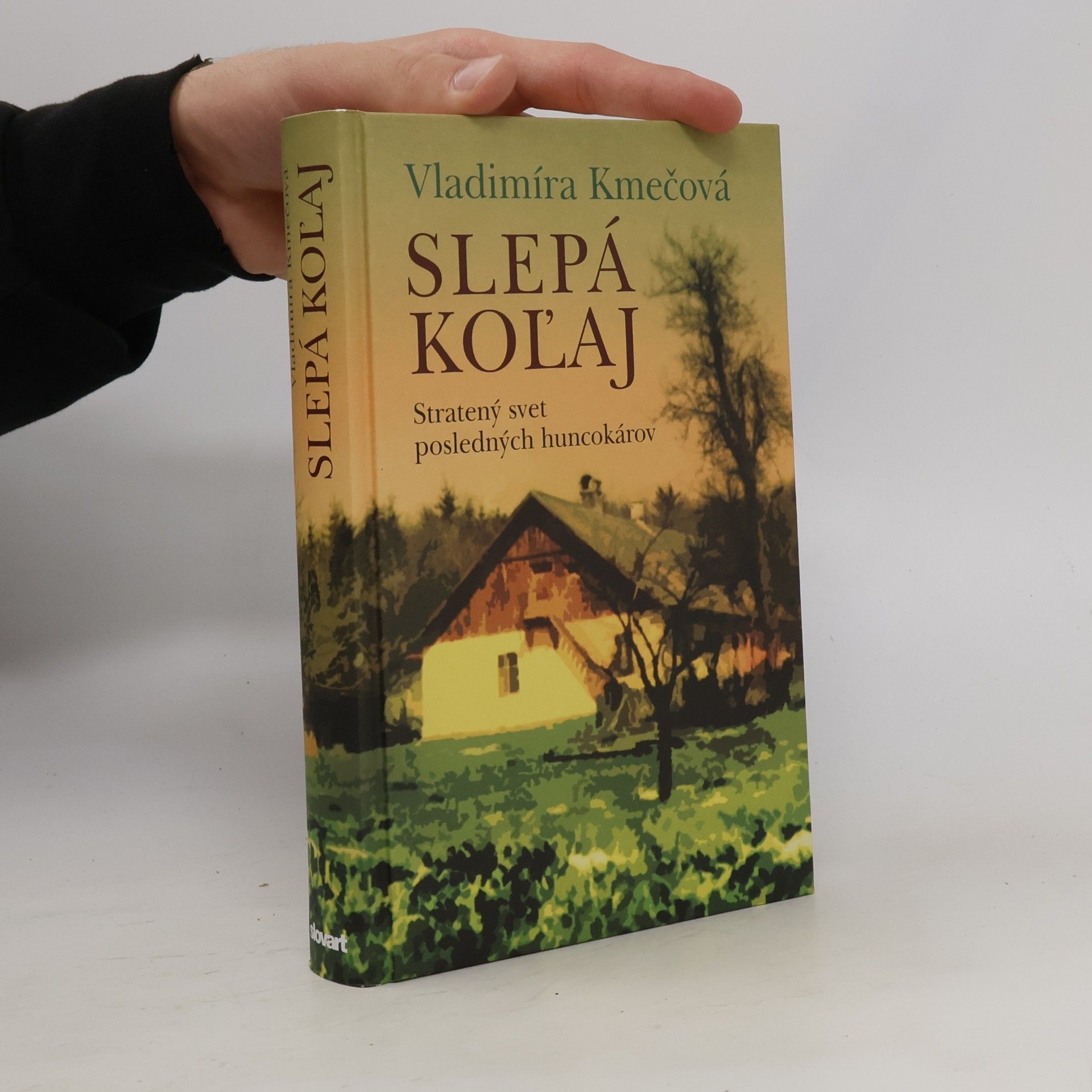 Vladimíra Kmečová Slepá koľaj
