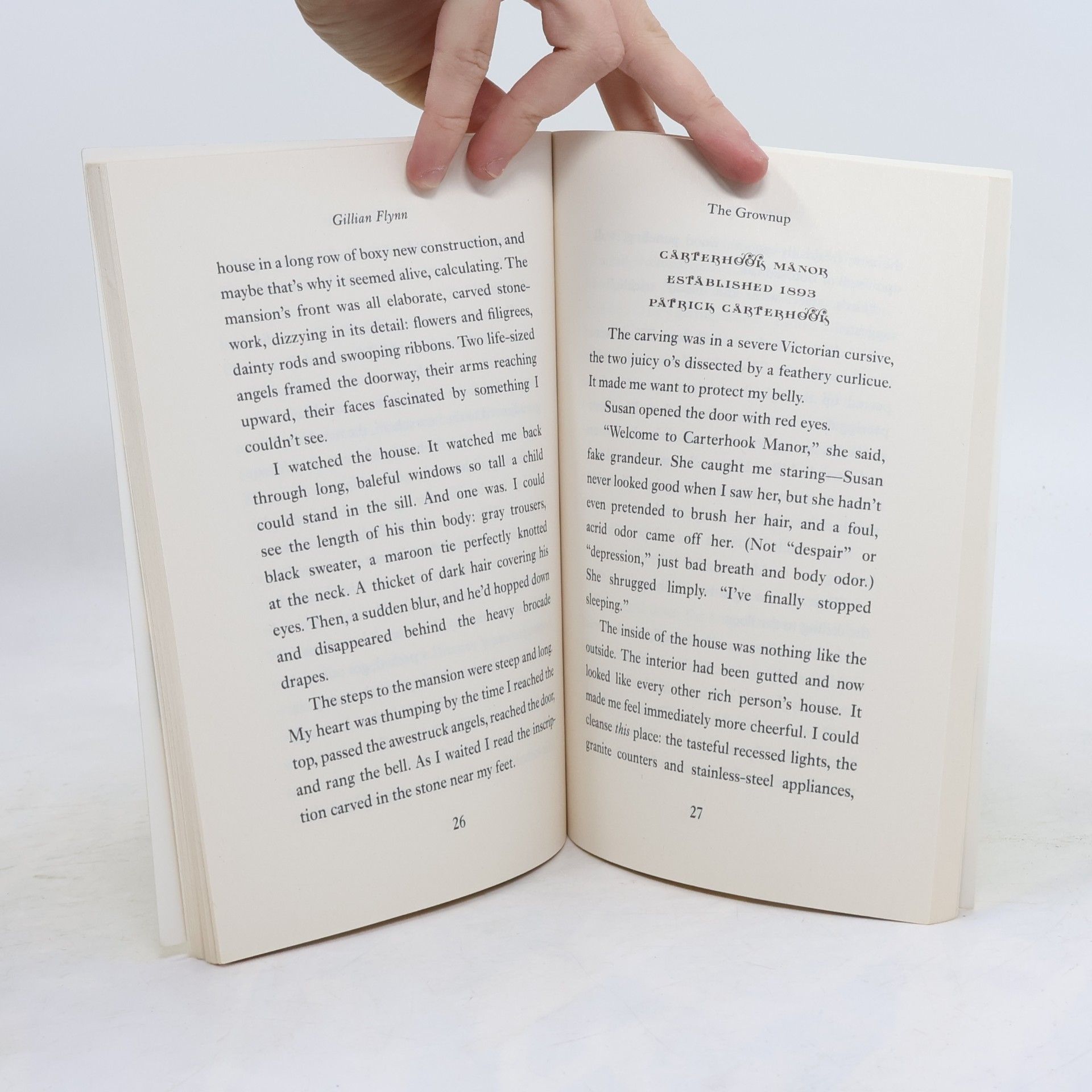 Gillian Flynn The Grownup
