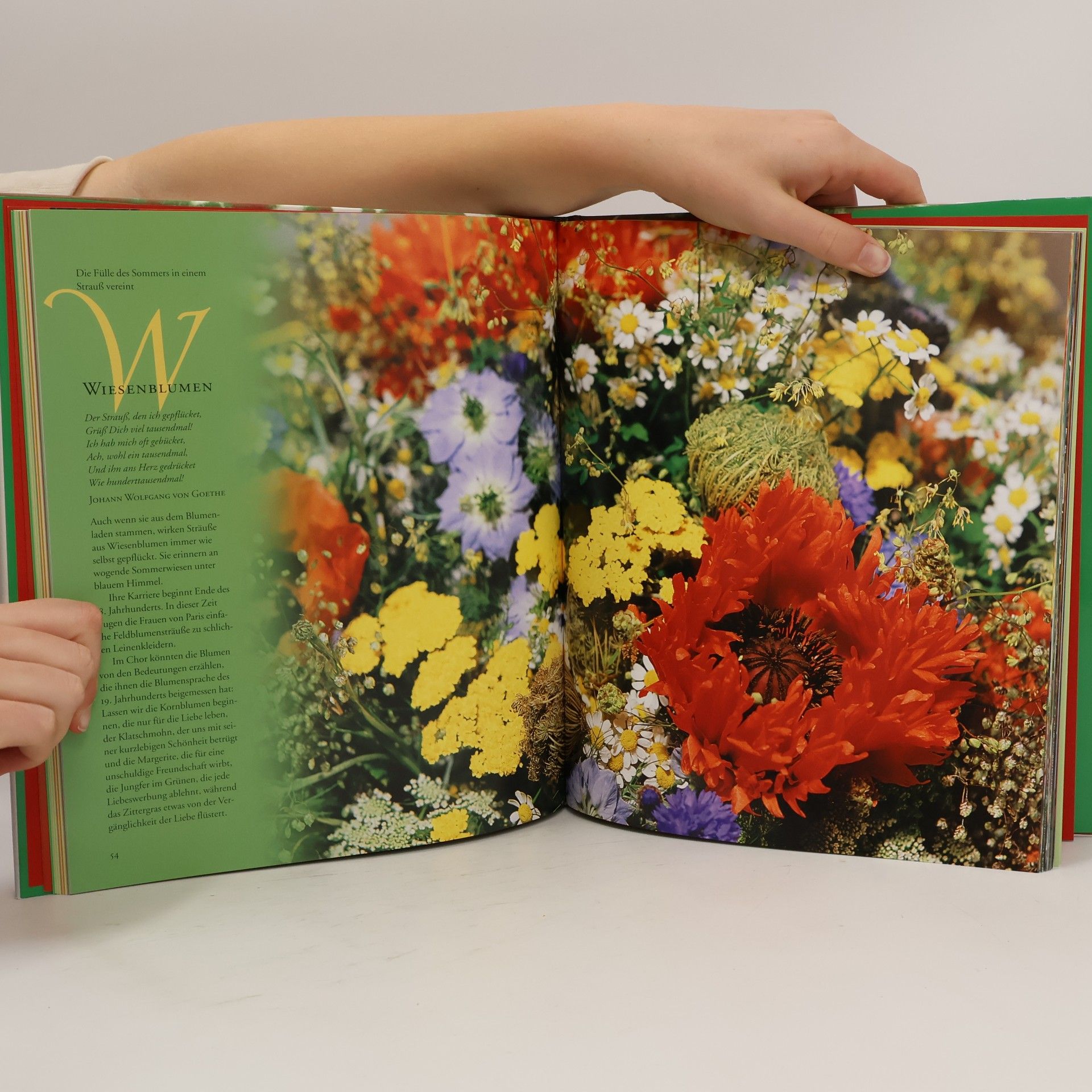 Marina Heilmeyer Sag's mit Blumen