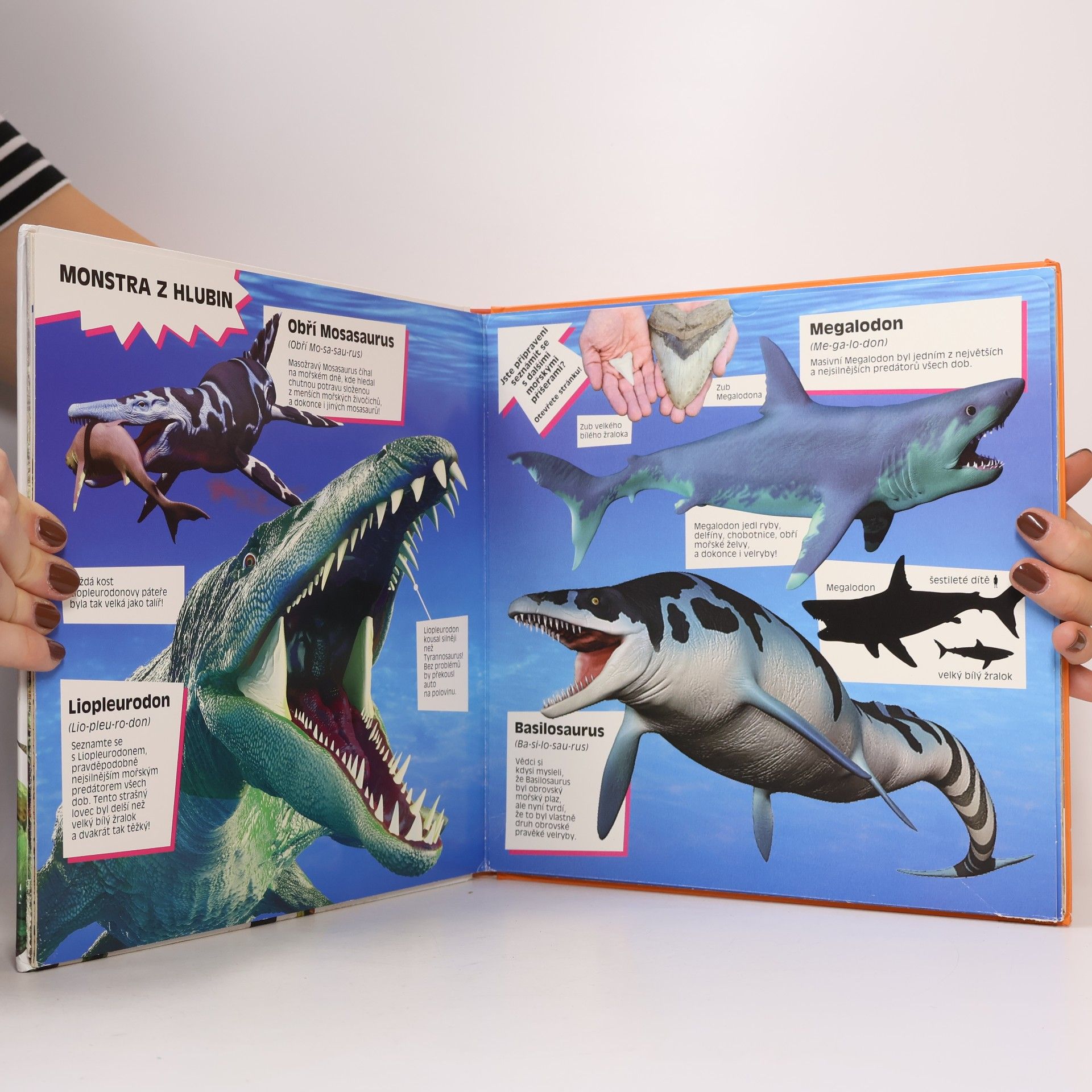 Marek Kurta Úžasní dinosauři : velké rozkládací strany plné faktů