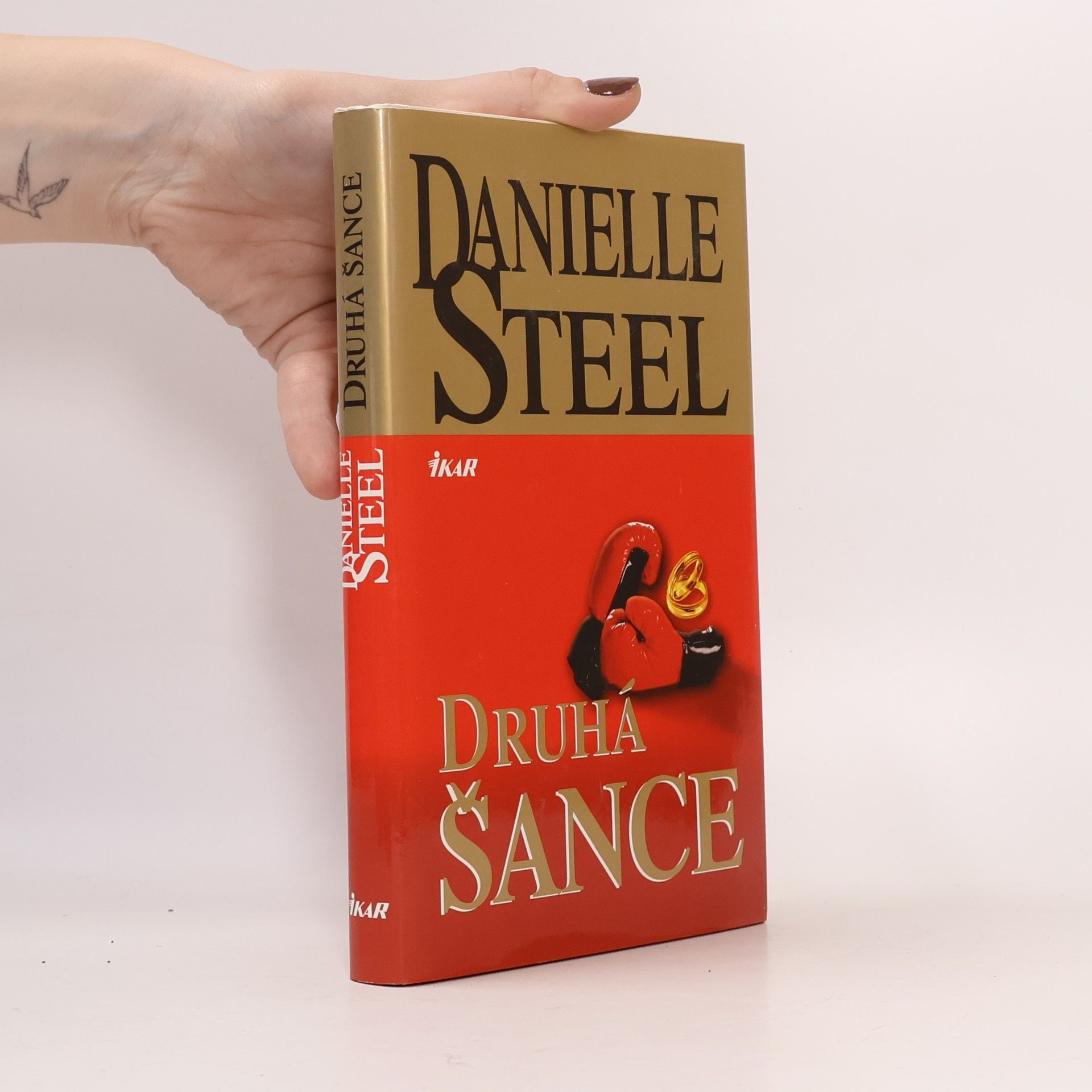 Danielle Steel Druhá šance