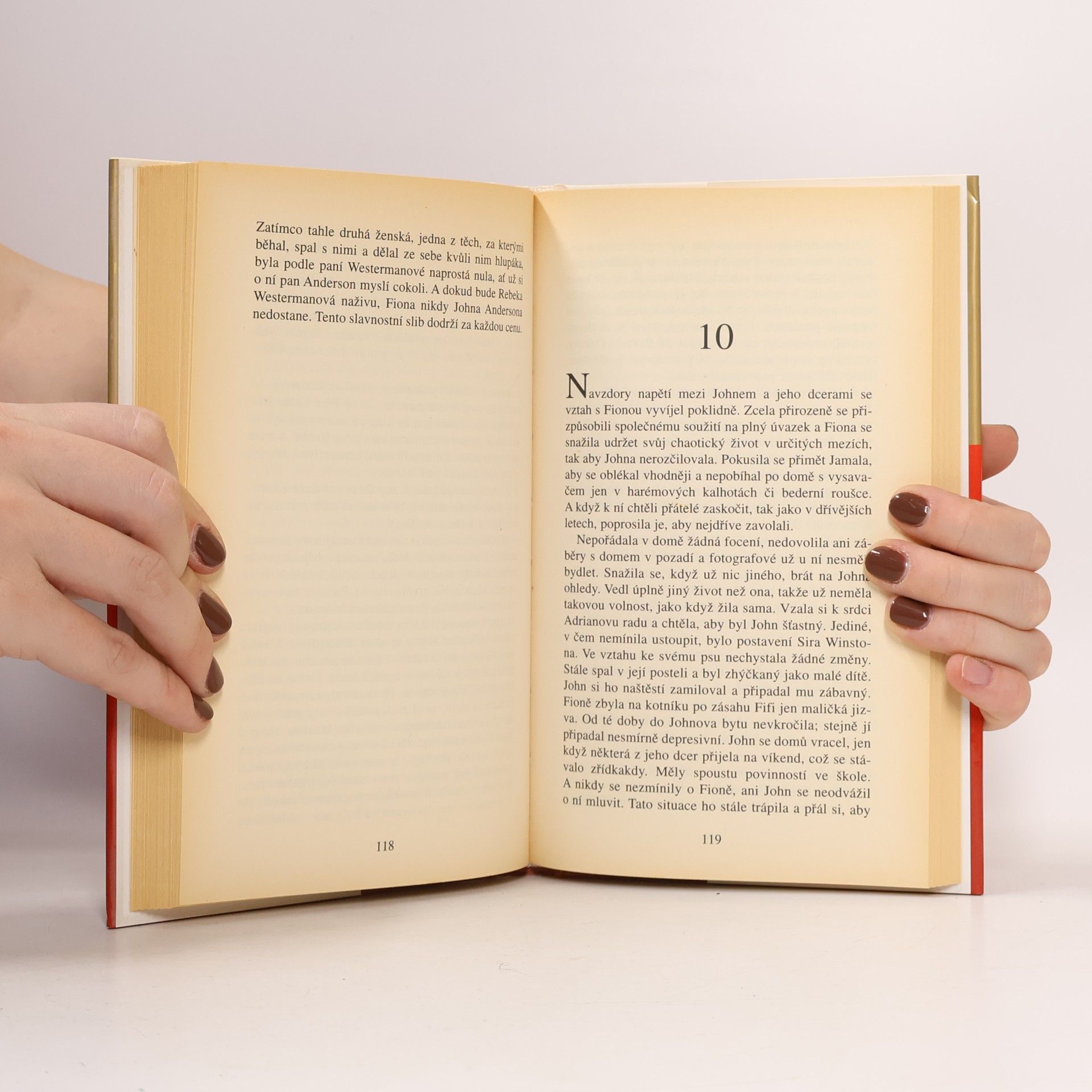 Danielle Steel Druhá šance