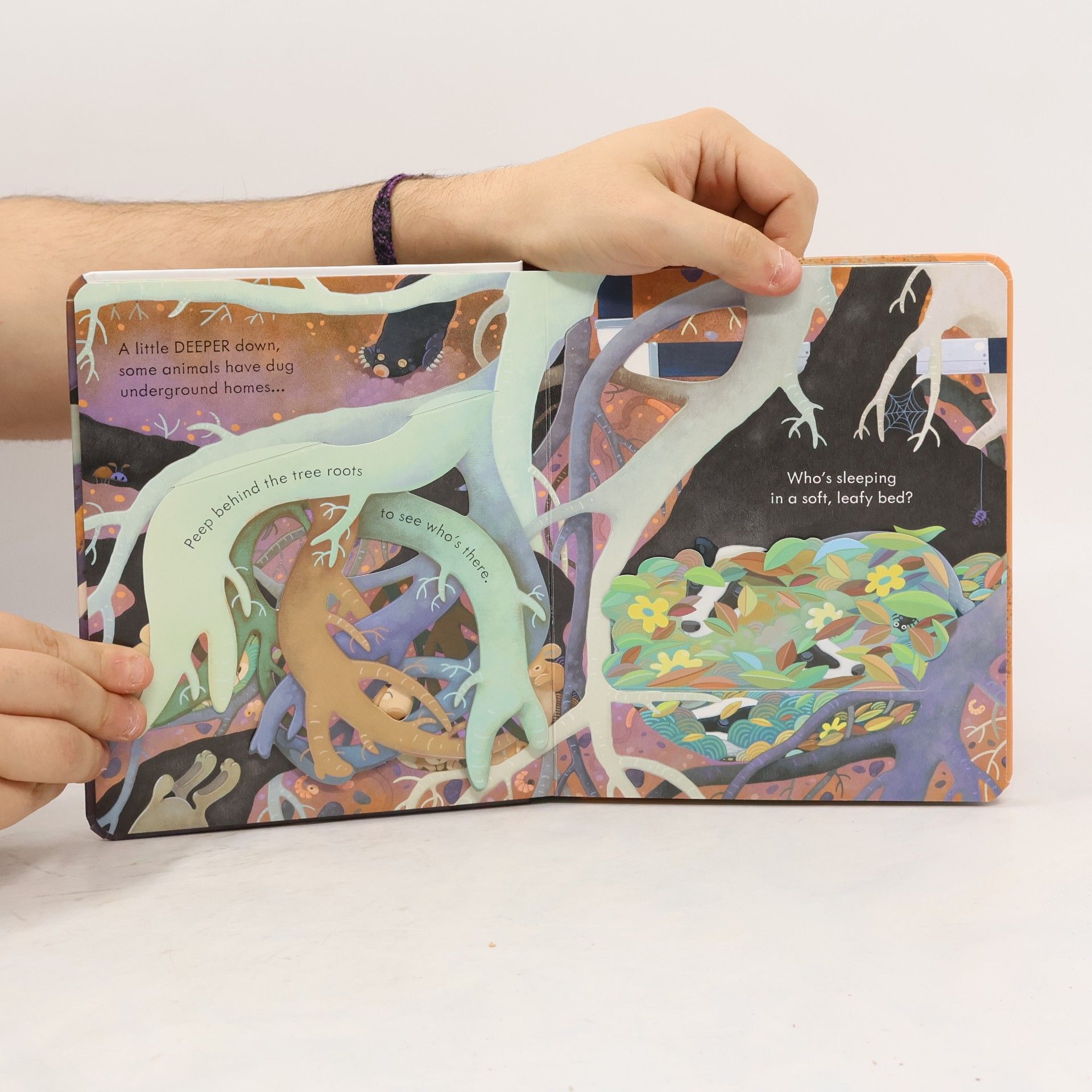Anna Milbourne Peep Inside Under the Ground